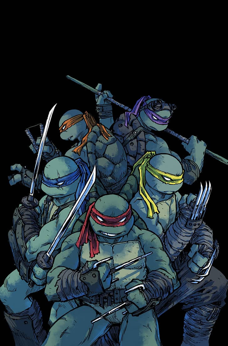 Teenage Mutant Ninja Turtles Five Members Background