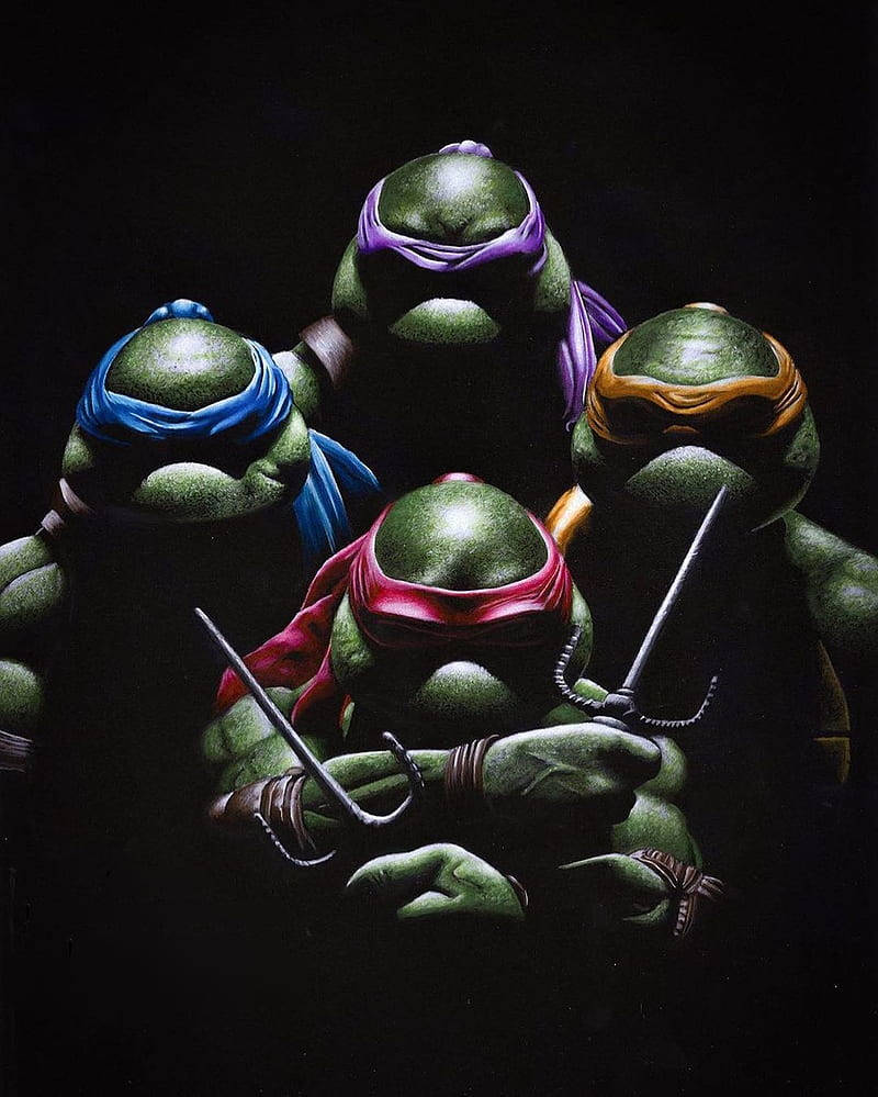 Teenage Mutant Ninja Turtles Pitch Black Background