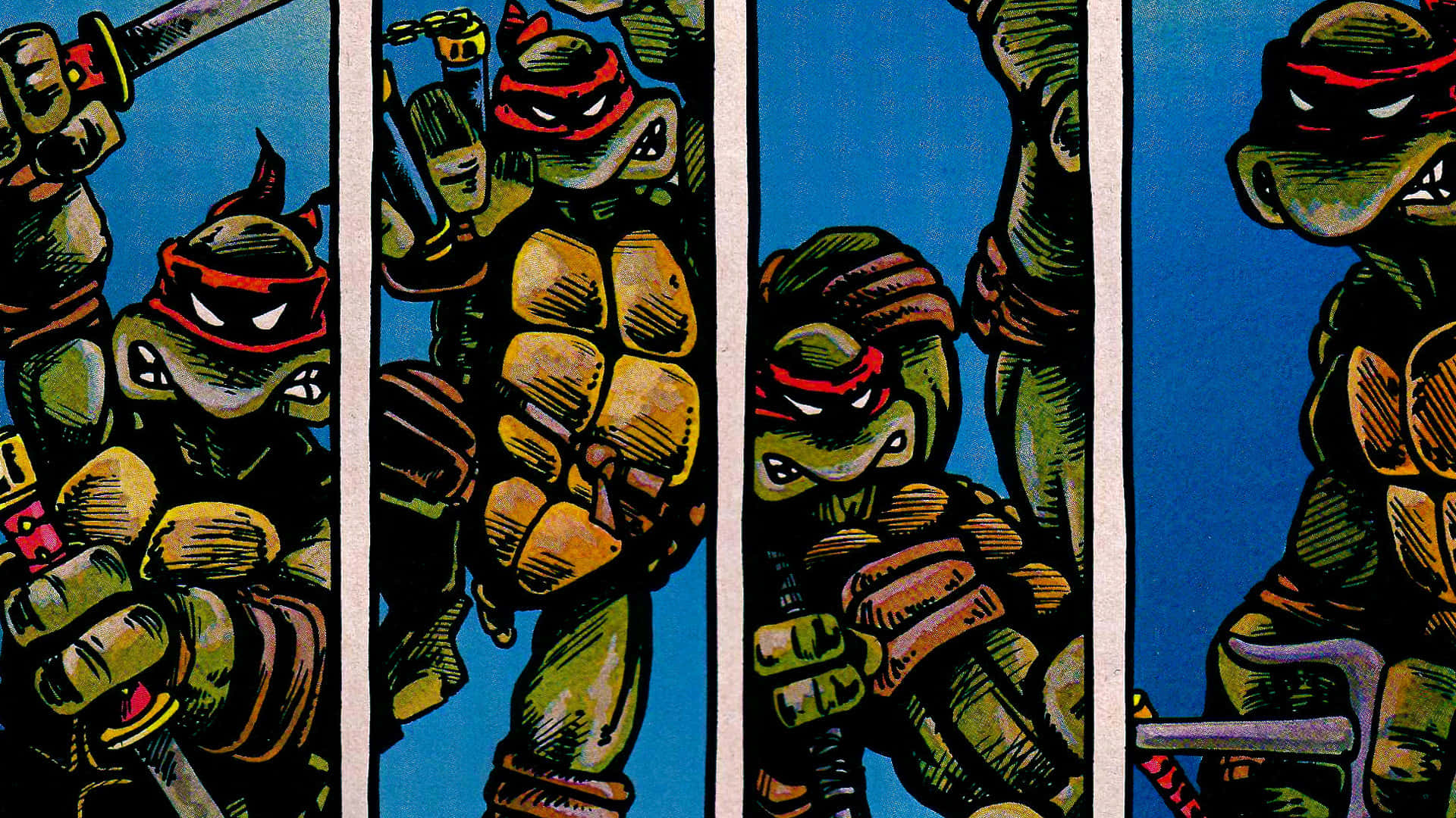 Teenage Mutant Ninja Turtles - The Heroes In A Half Shell Background