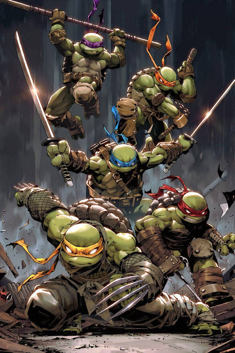 Teenage Mutant Ninja Turtles With Jennika Background