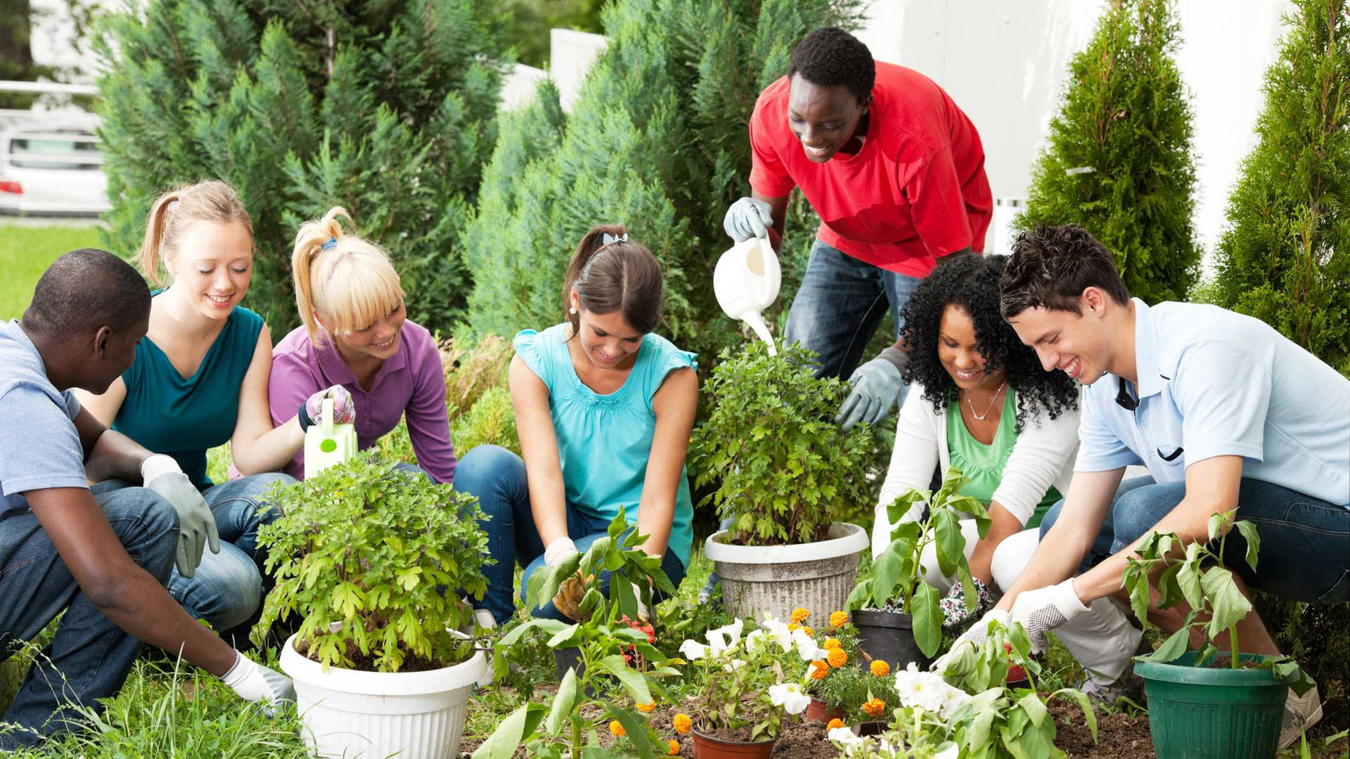 Teenagers Gardening Activity