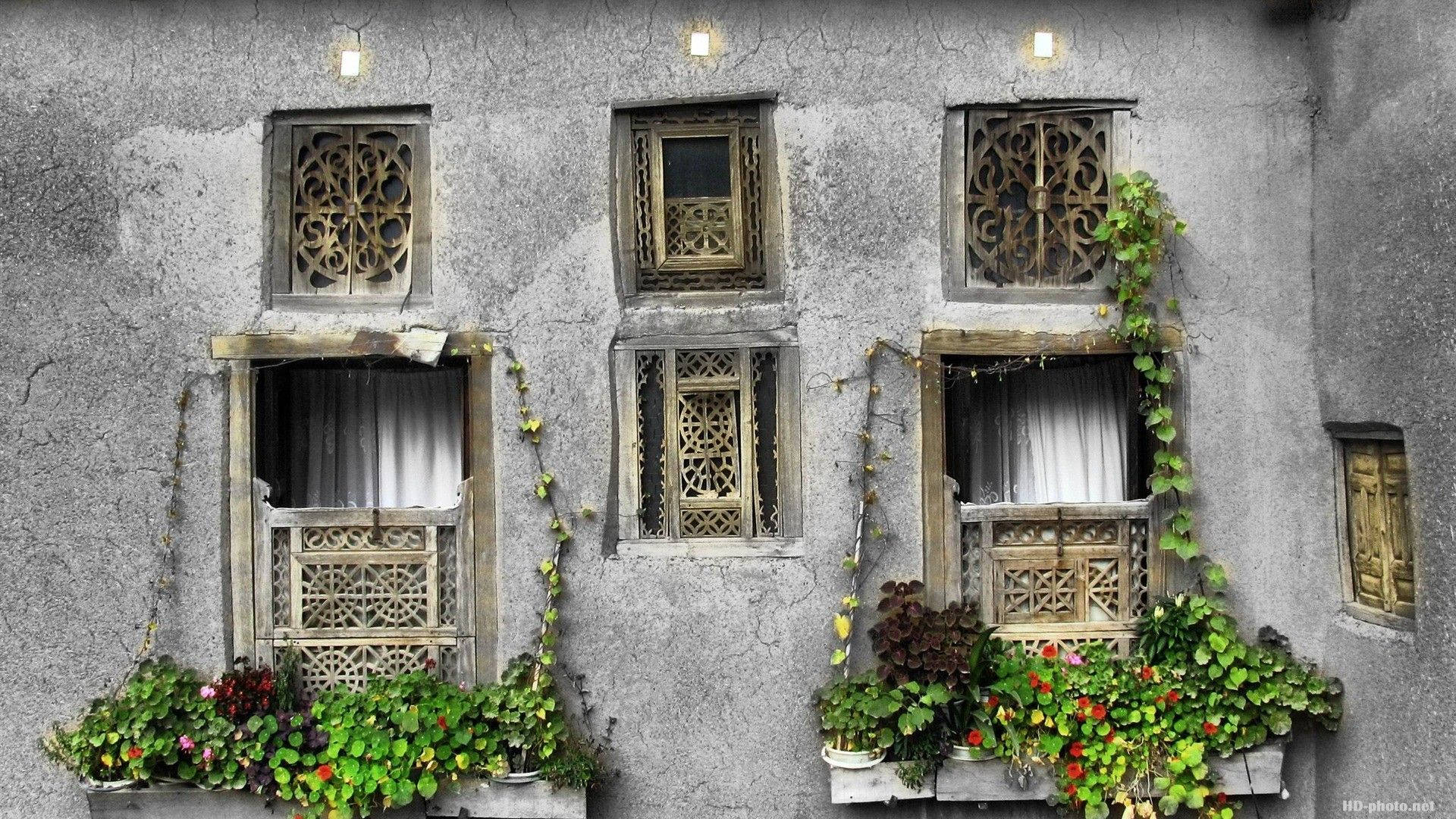 Tehran Window Designs Background