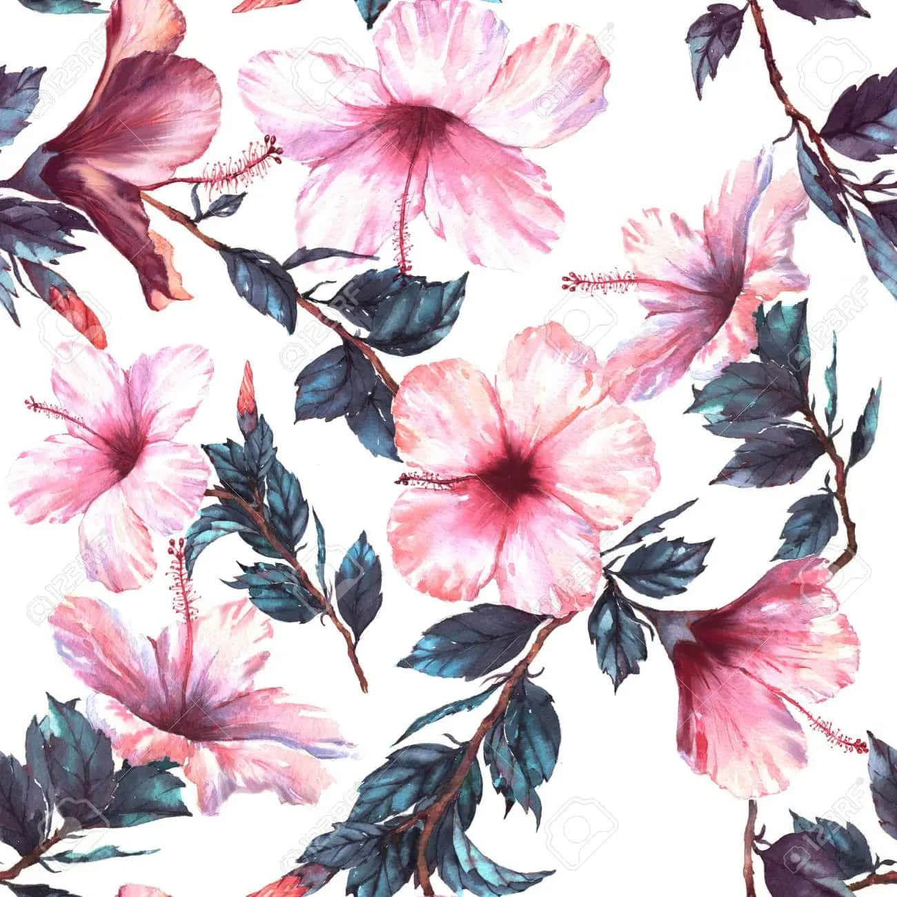 Tender Hibiscus Flower Background