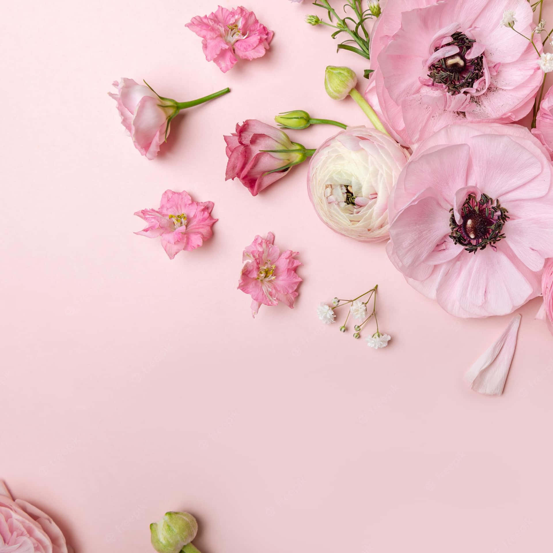 Tender Pink Floral Arrangement Background
