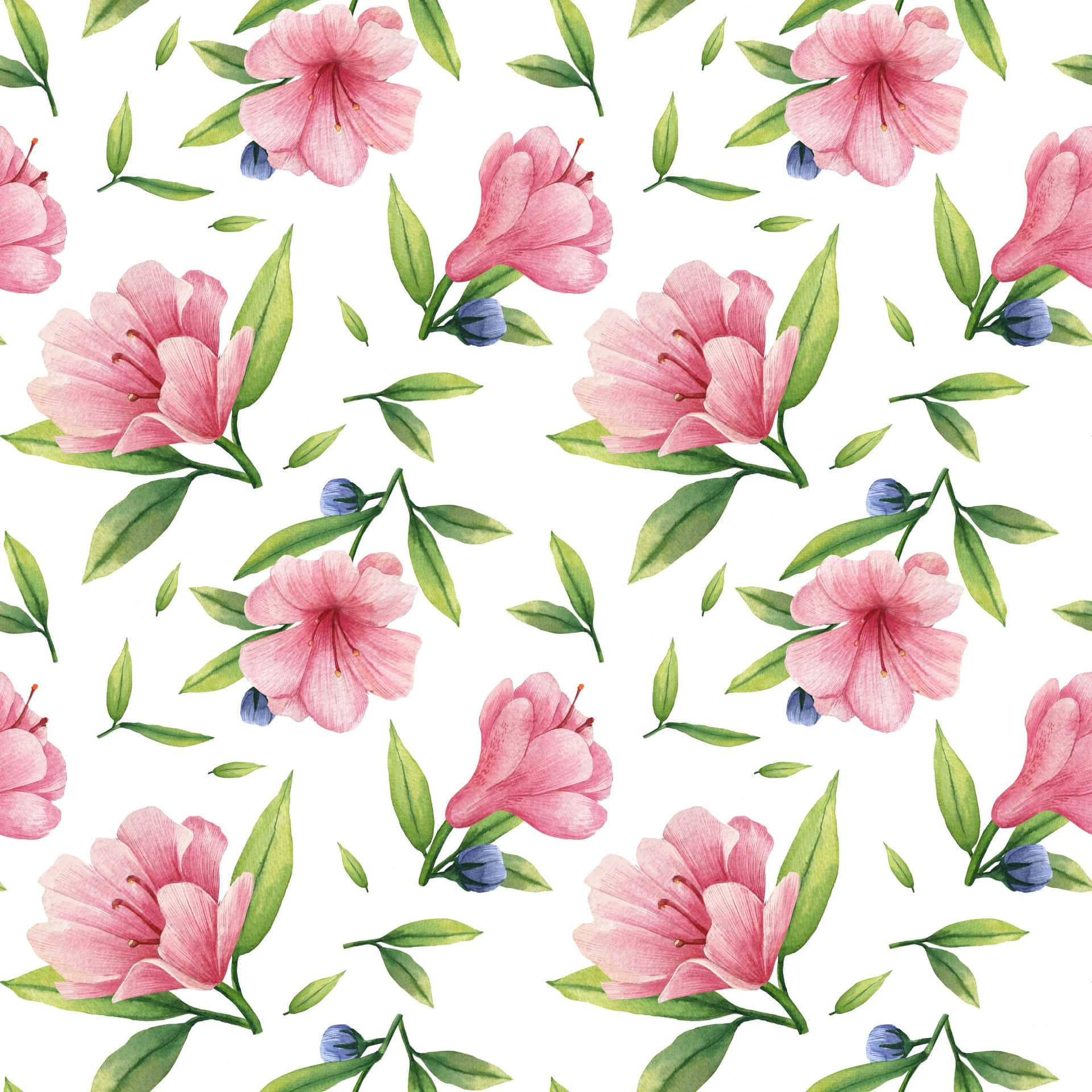 Tender Pink Floral Design Background