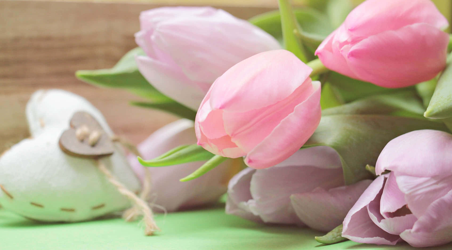 Tender Pink Tulips Background