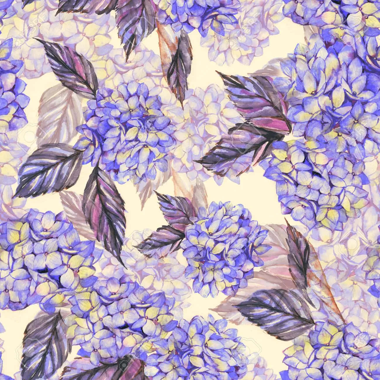 Tender Violet Hydrangea Background