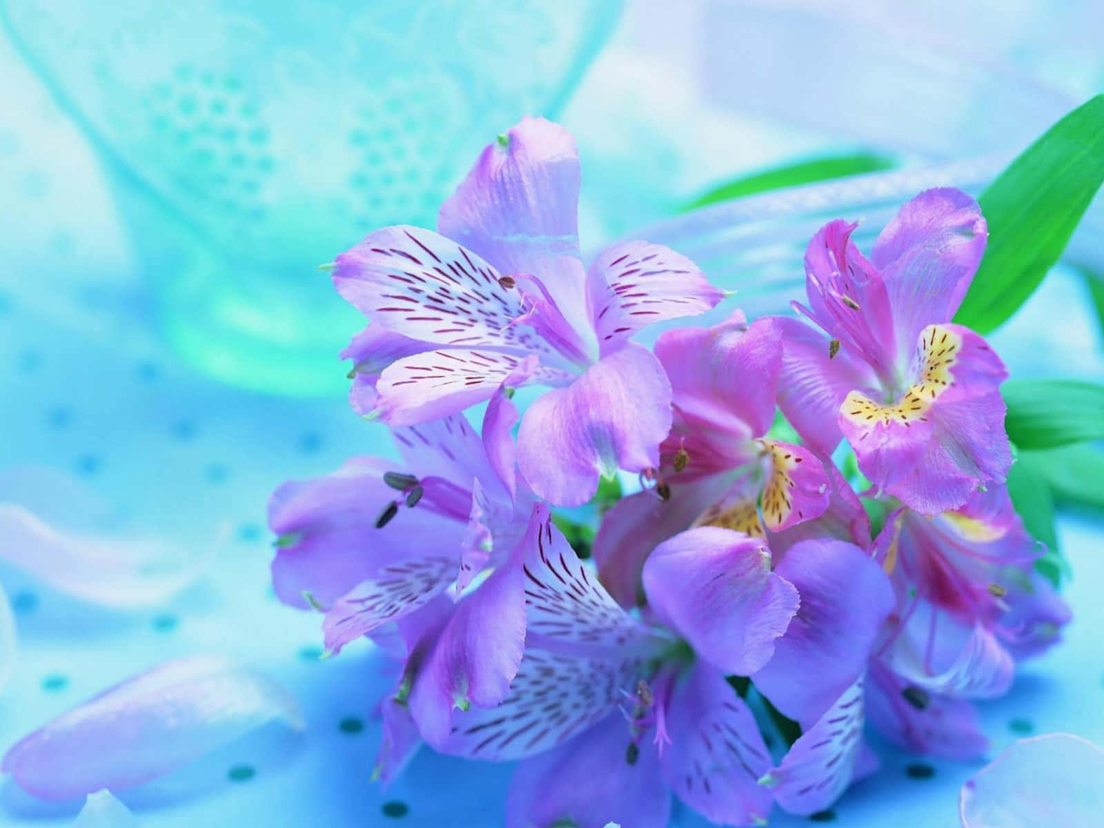 Tender Violet Lilies Background