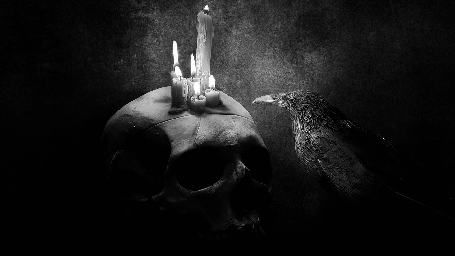 Tengkorak Candles Raven
