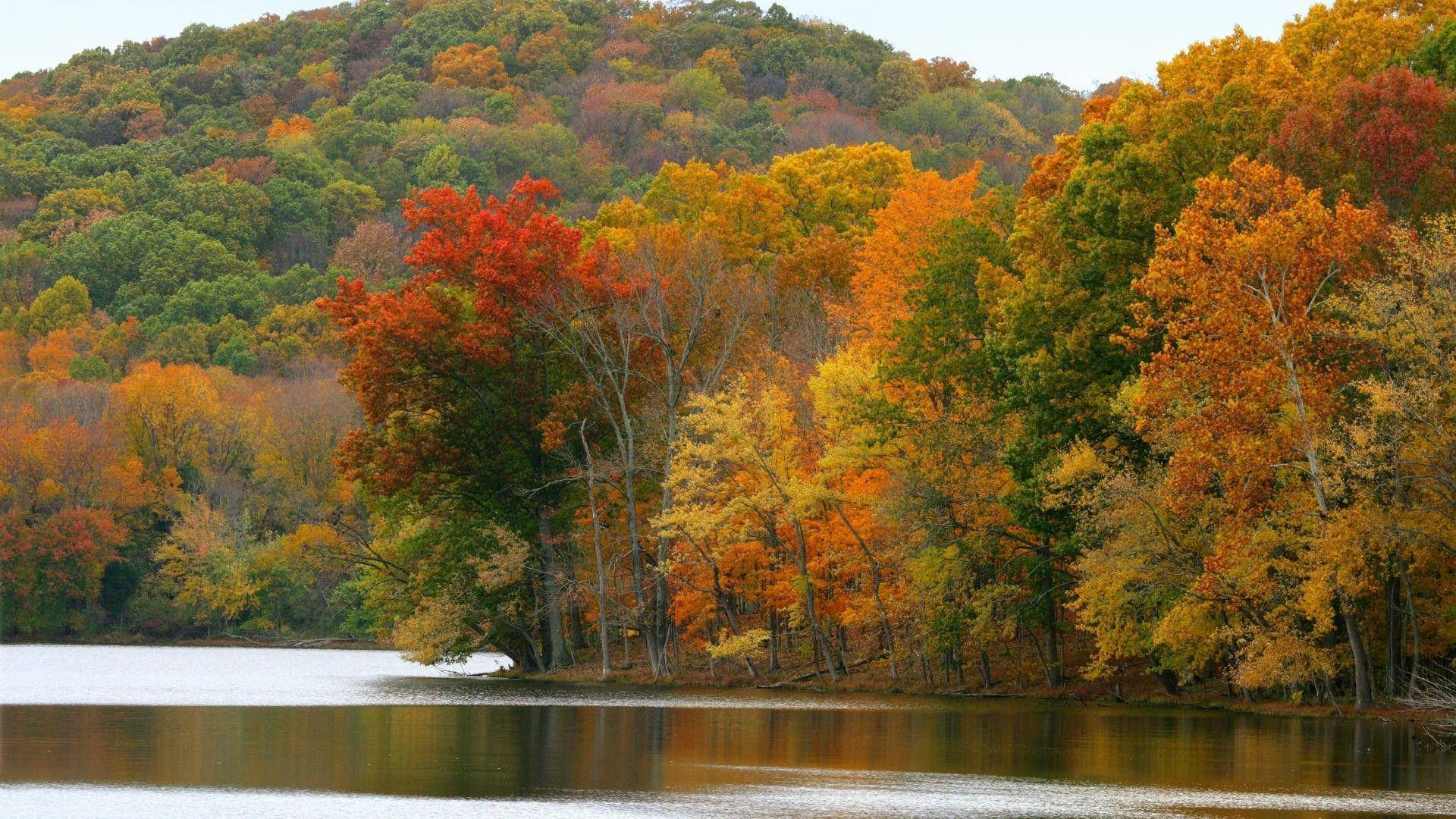 Tennessee Radnor Lake Autumn