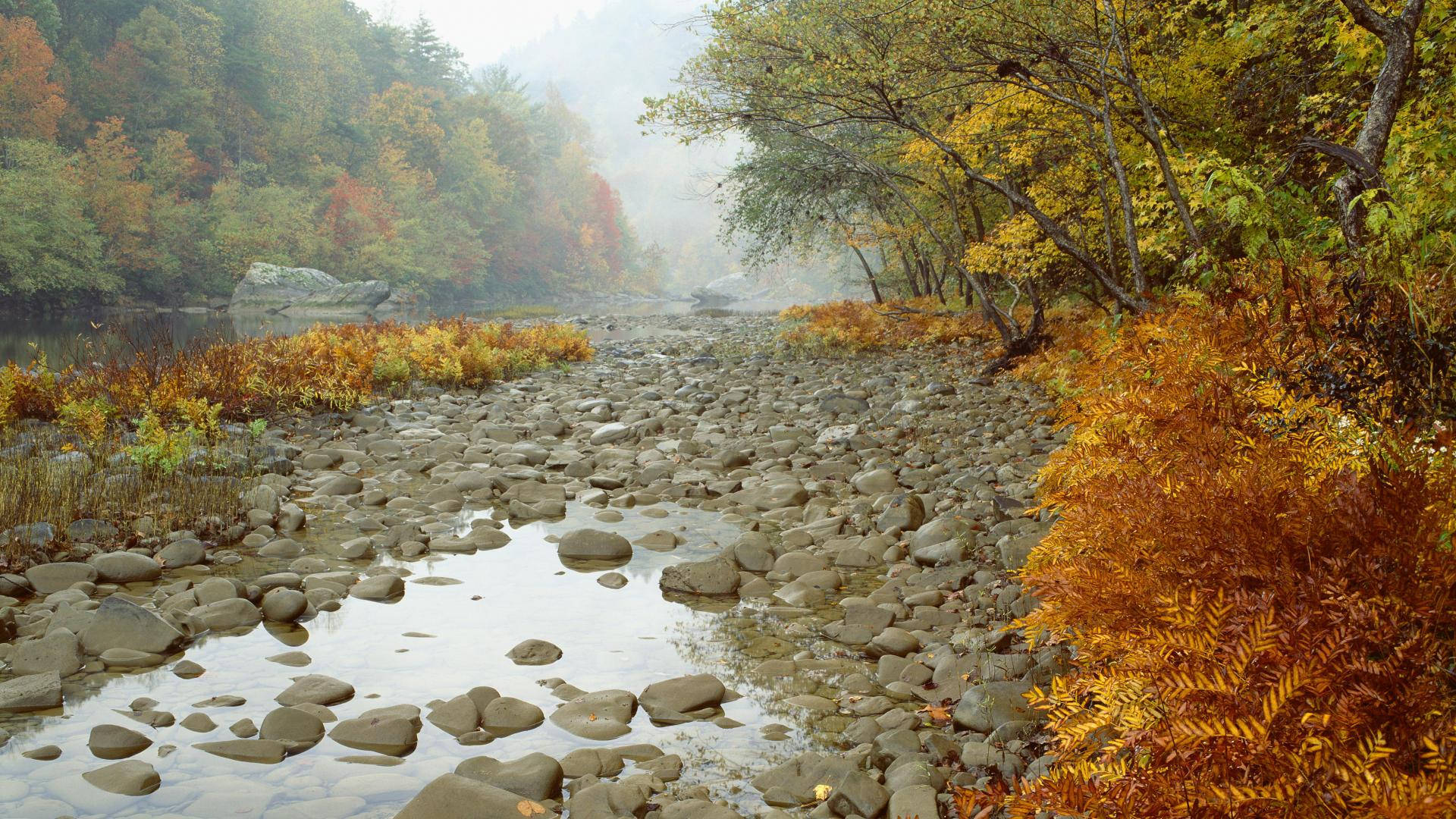 Tennessee Rocky Creek Background