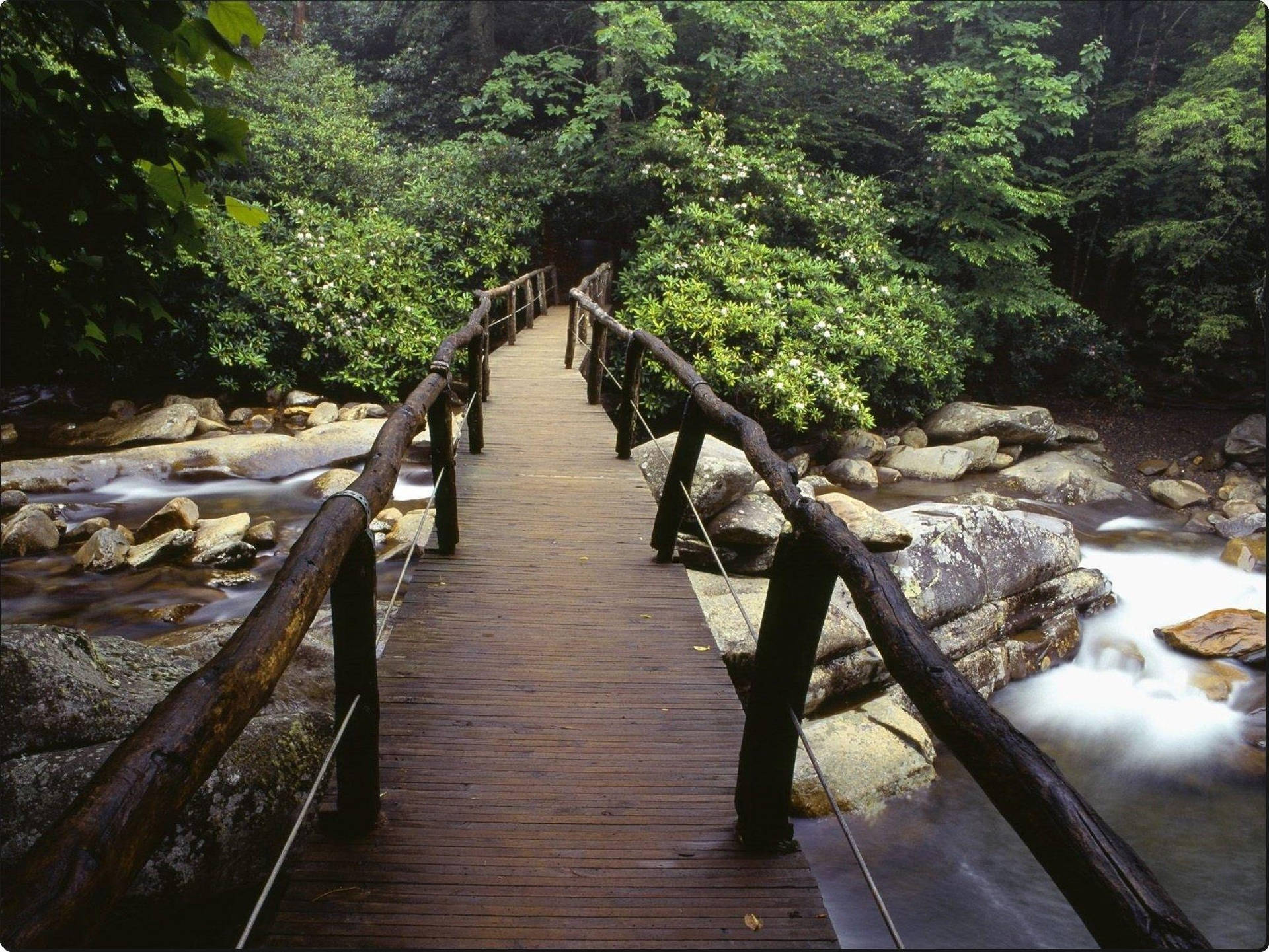 Tennessee Smoky Mountain Wooden Bridge