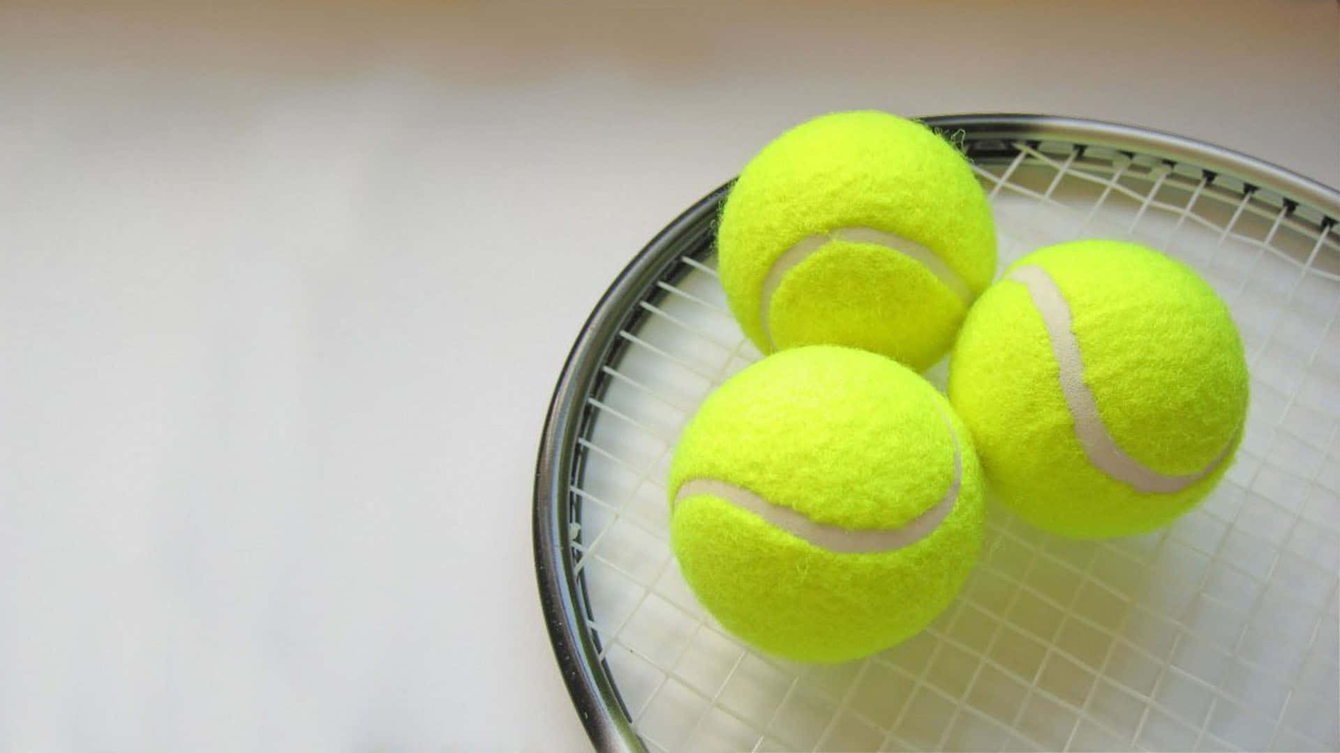 Tennis Ball Is Ready To Be Served Background
