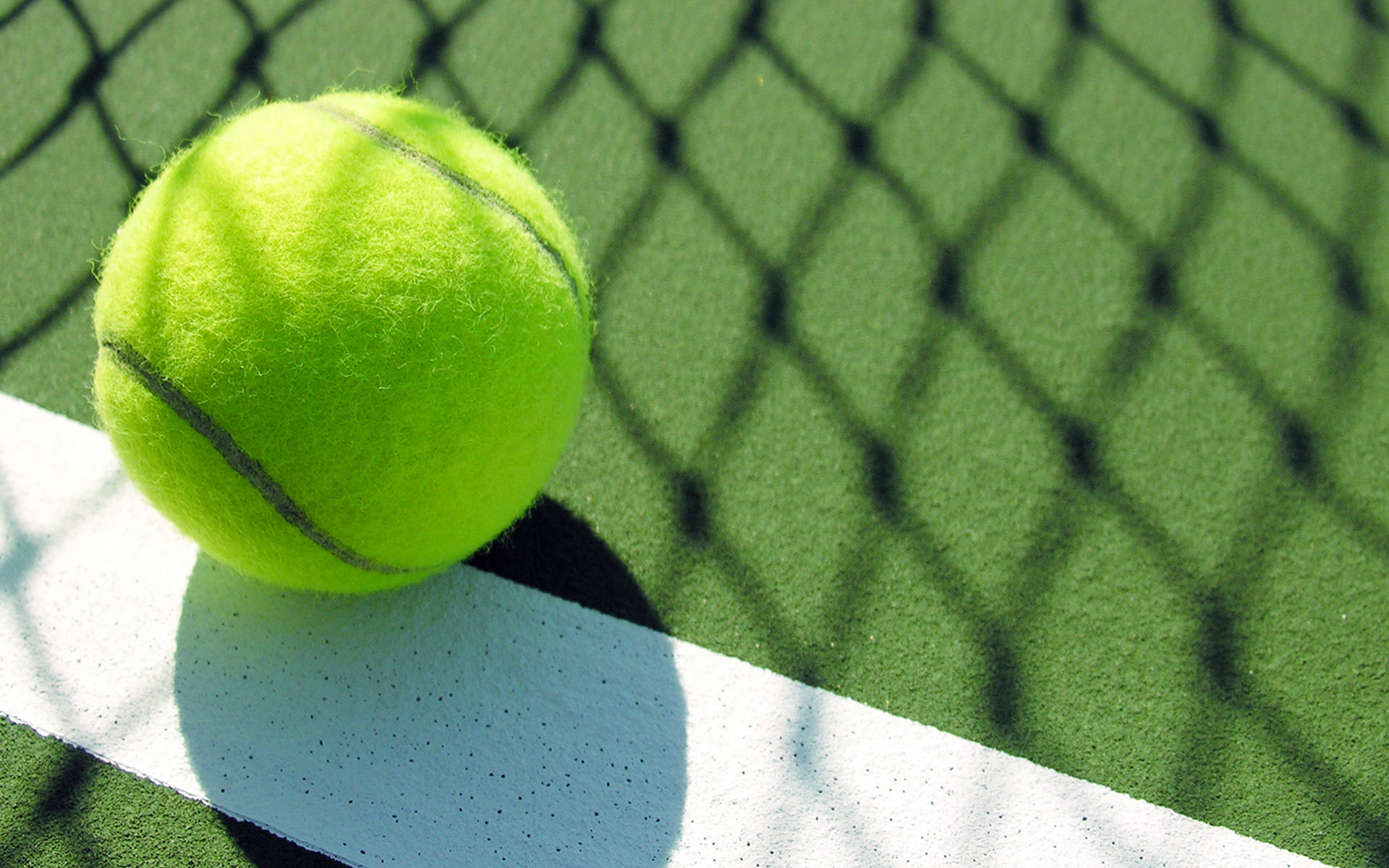 Tennis Ball Net Shadow Background