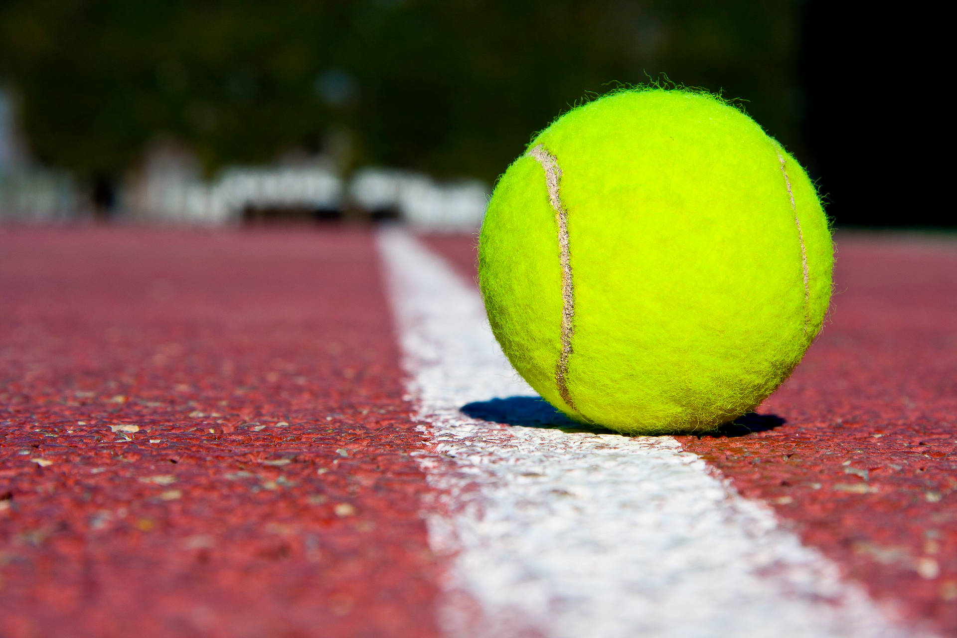 Tennis Ball On Baseline Background