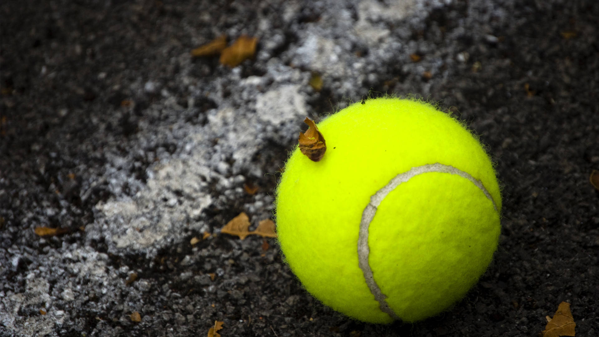 Tennis Ball On Dirty Ground Background