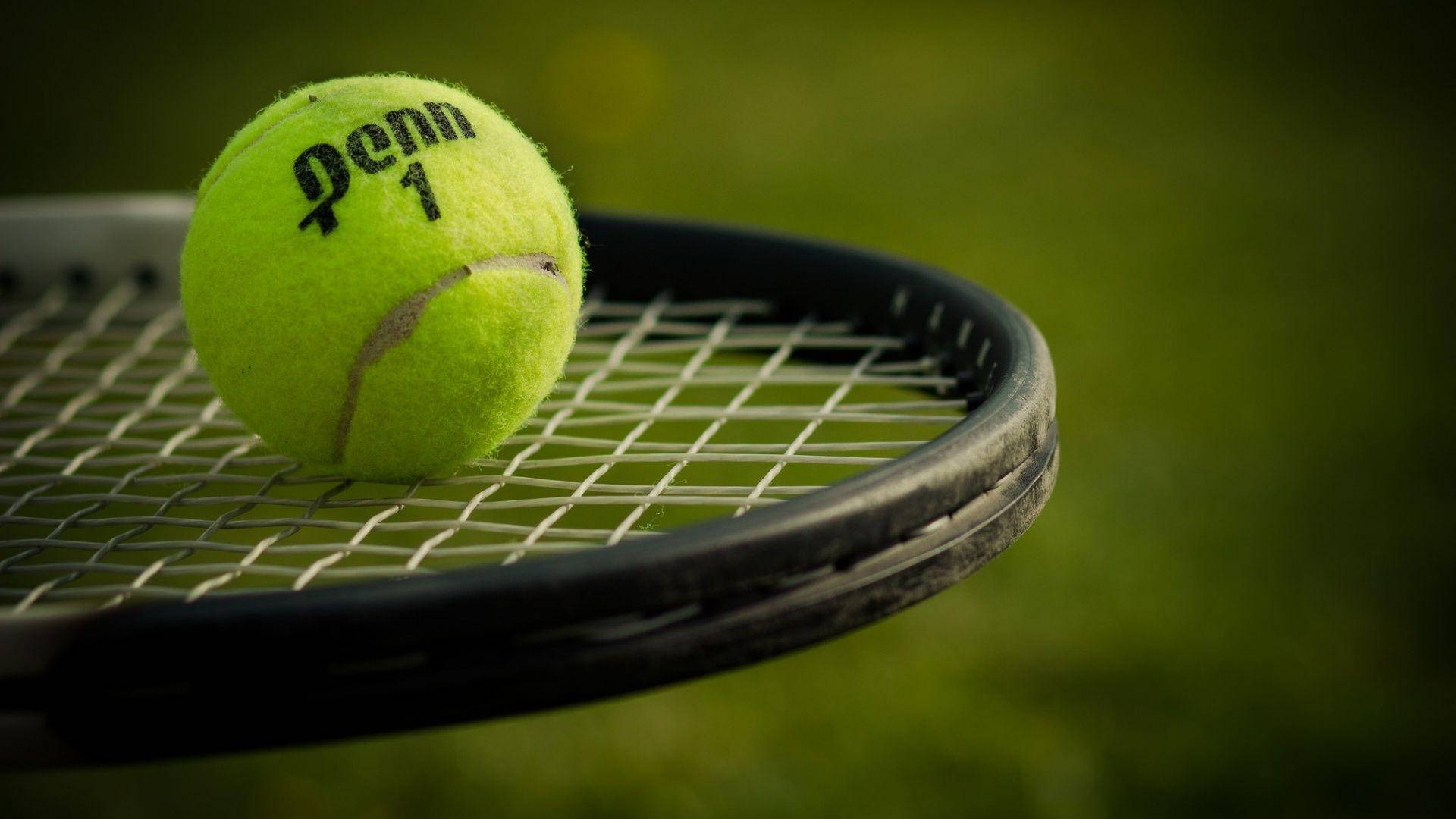 Tennis Ball On Racket Background