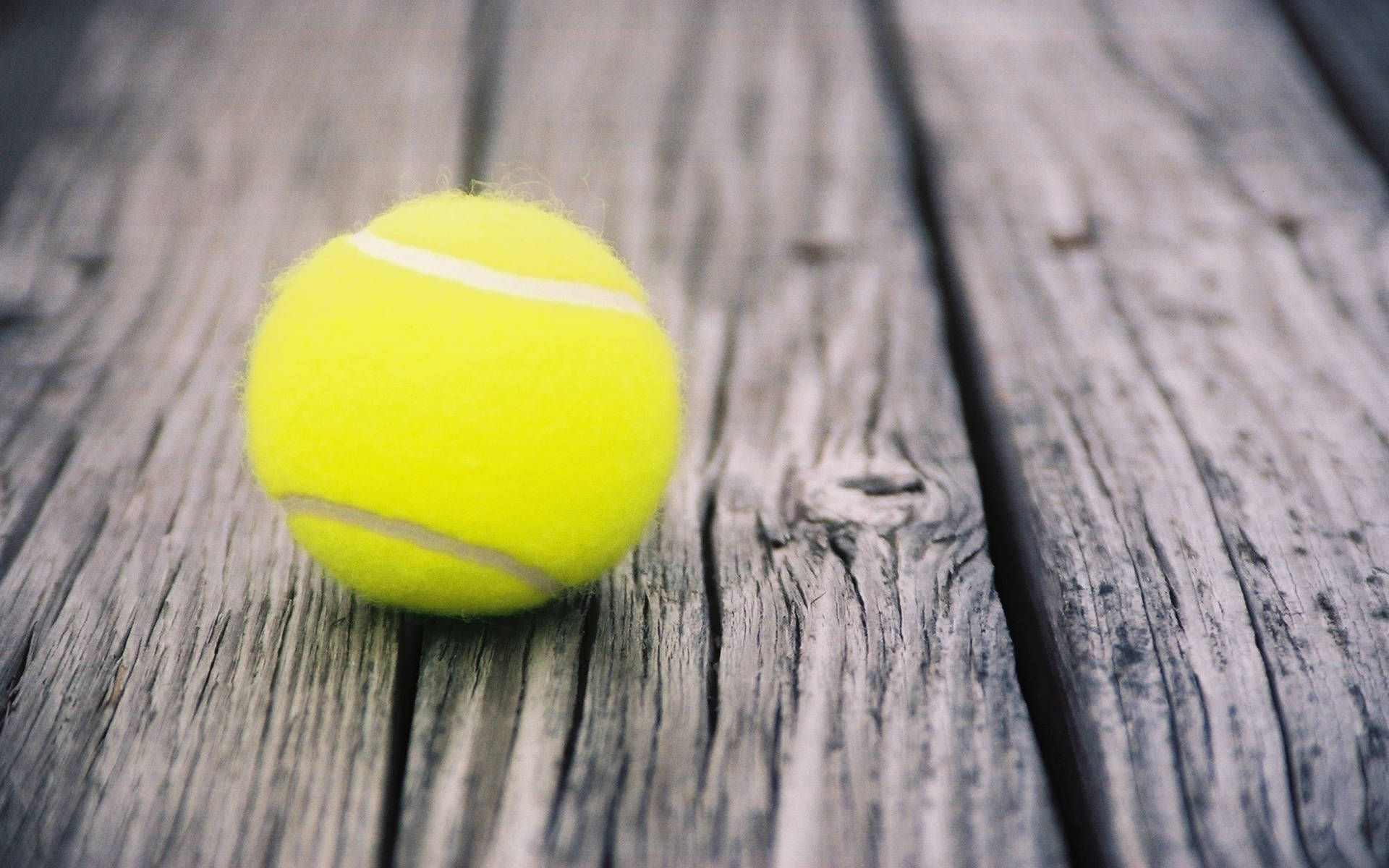 Tennis Ball On Wood Planks Background