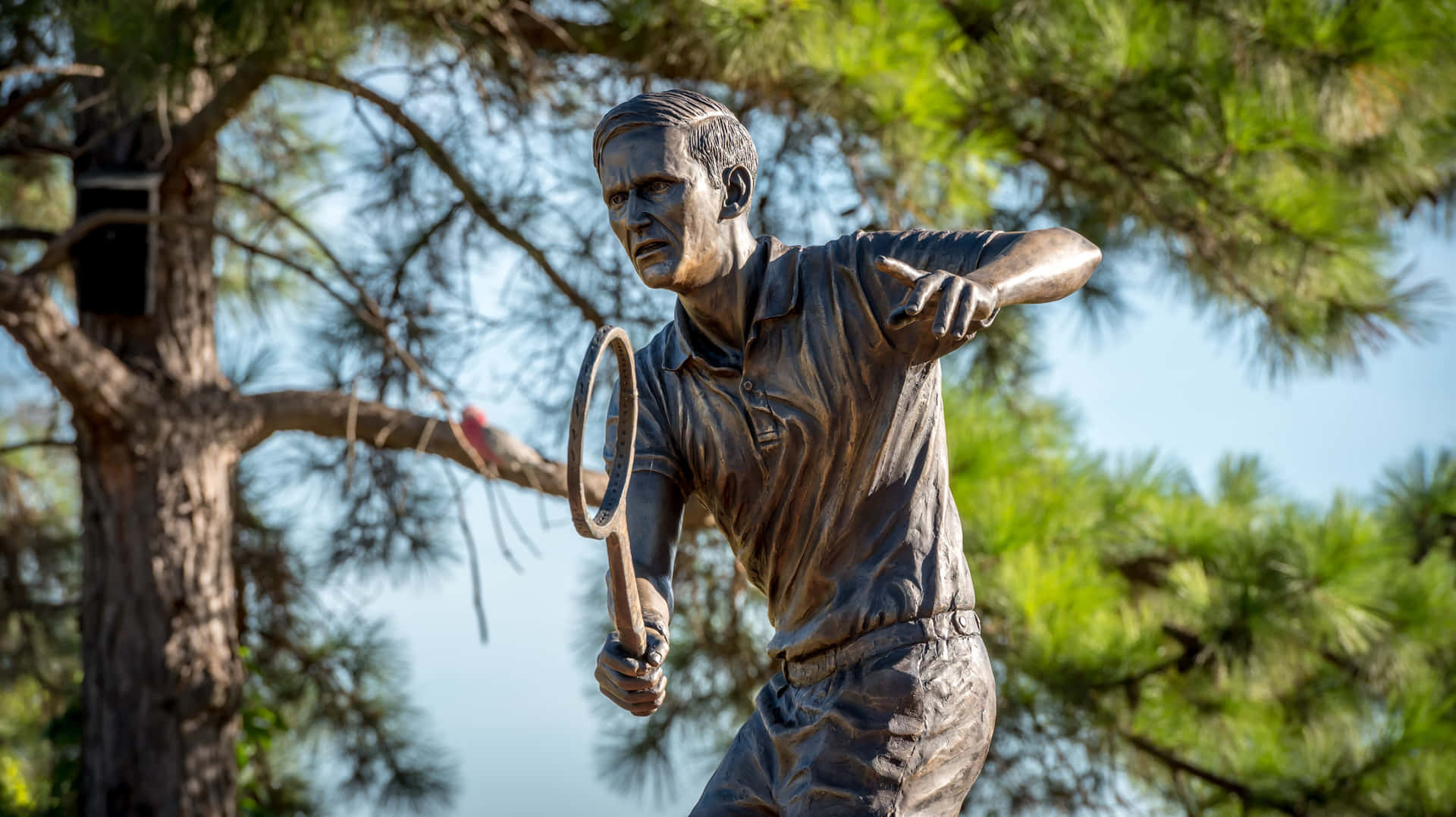 Tennis Legend Statue Background