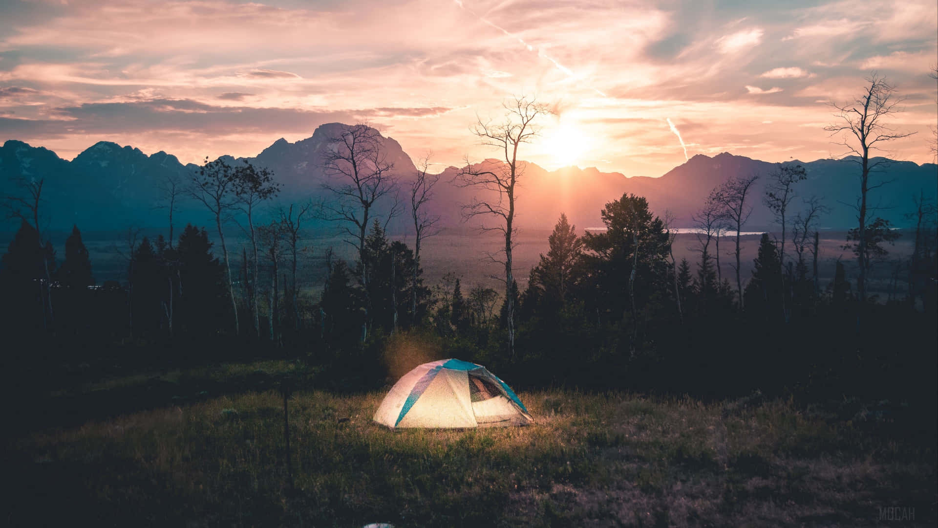 Tent By The Trees Camping Desktop Background