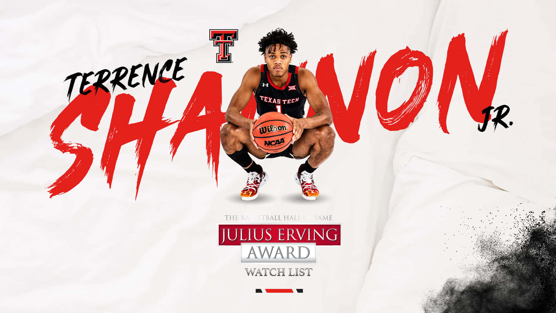 Terrence Shannon Jr. For Juluis Erving Award Background