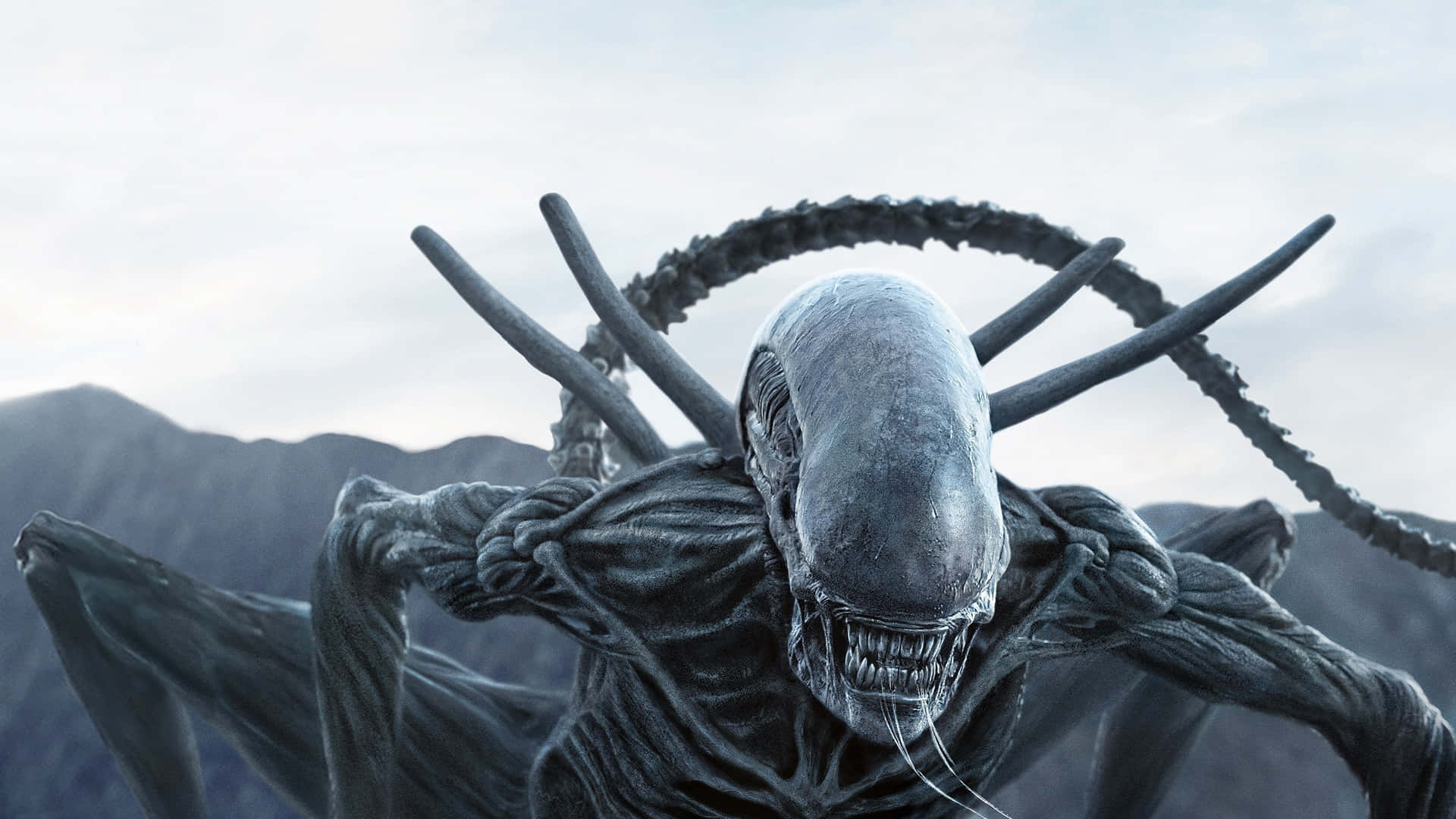 Terrifying Alien From Another World Background