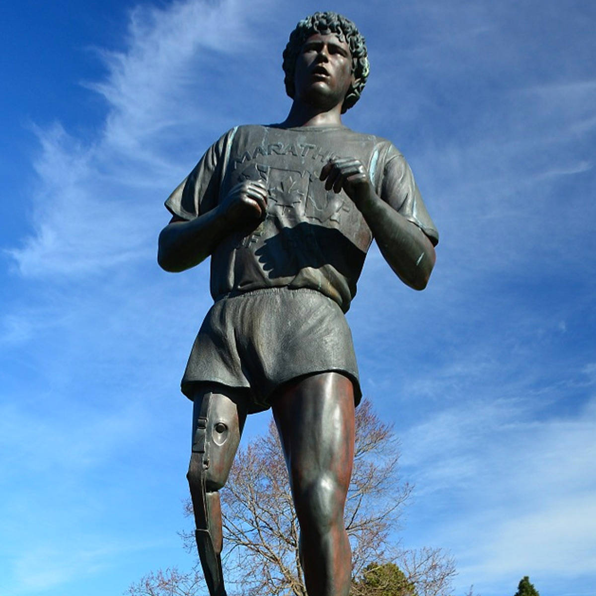 Terry Fox Statue Background