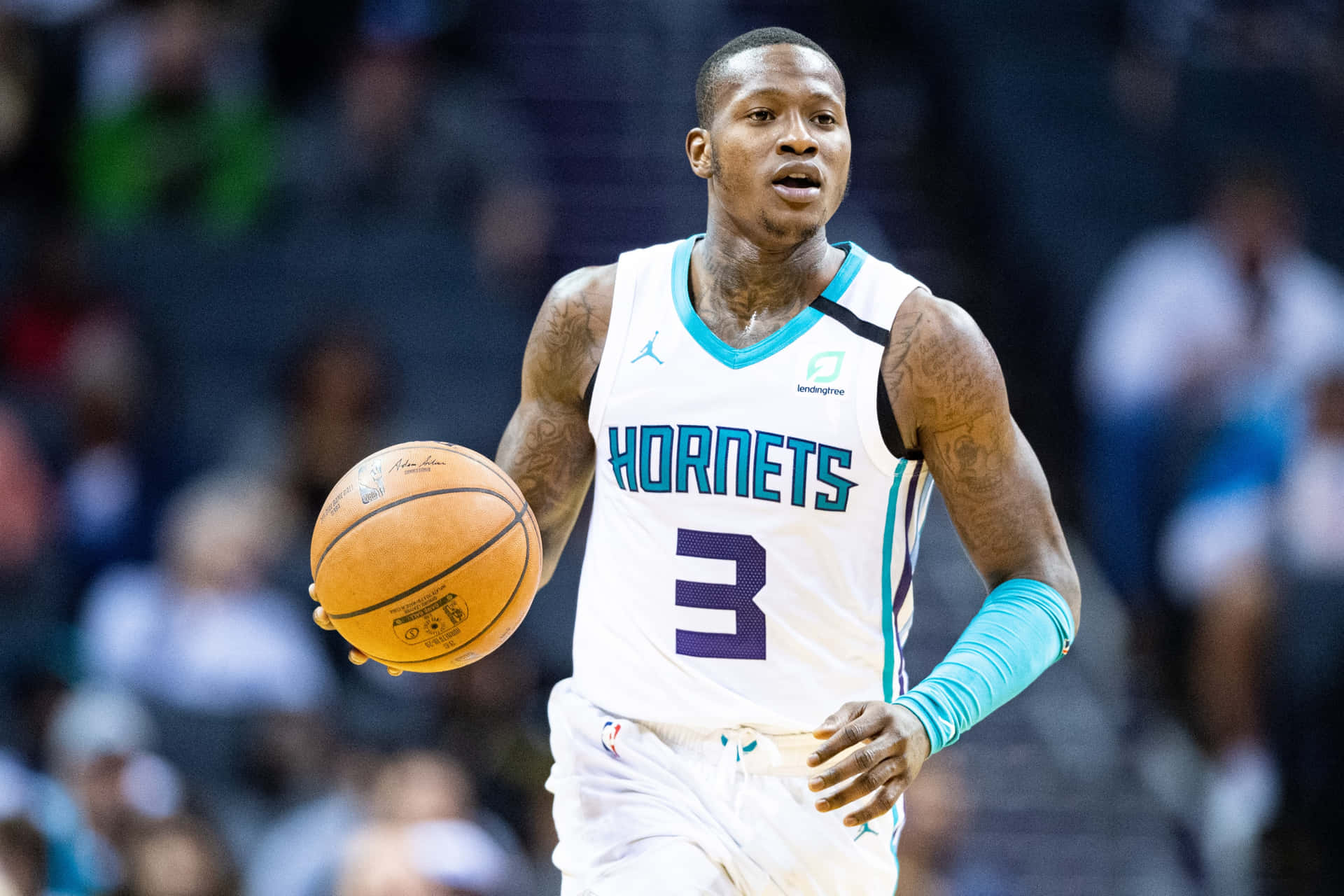 Terry Rozier Hornets Basketball Nba