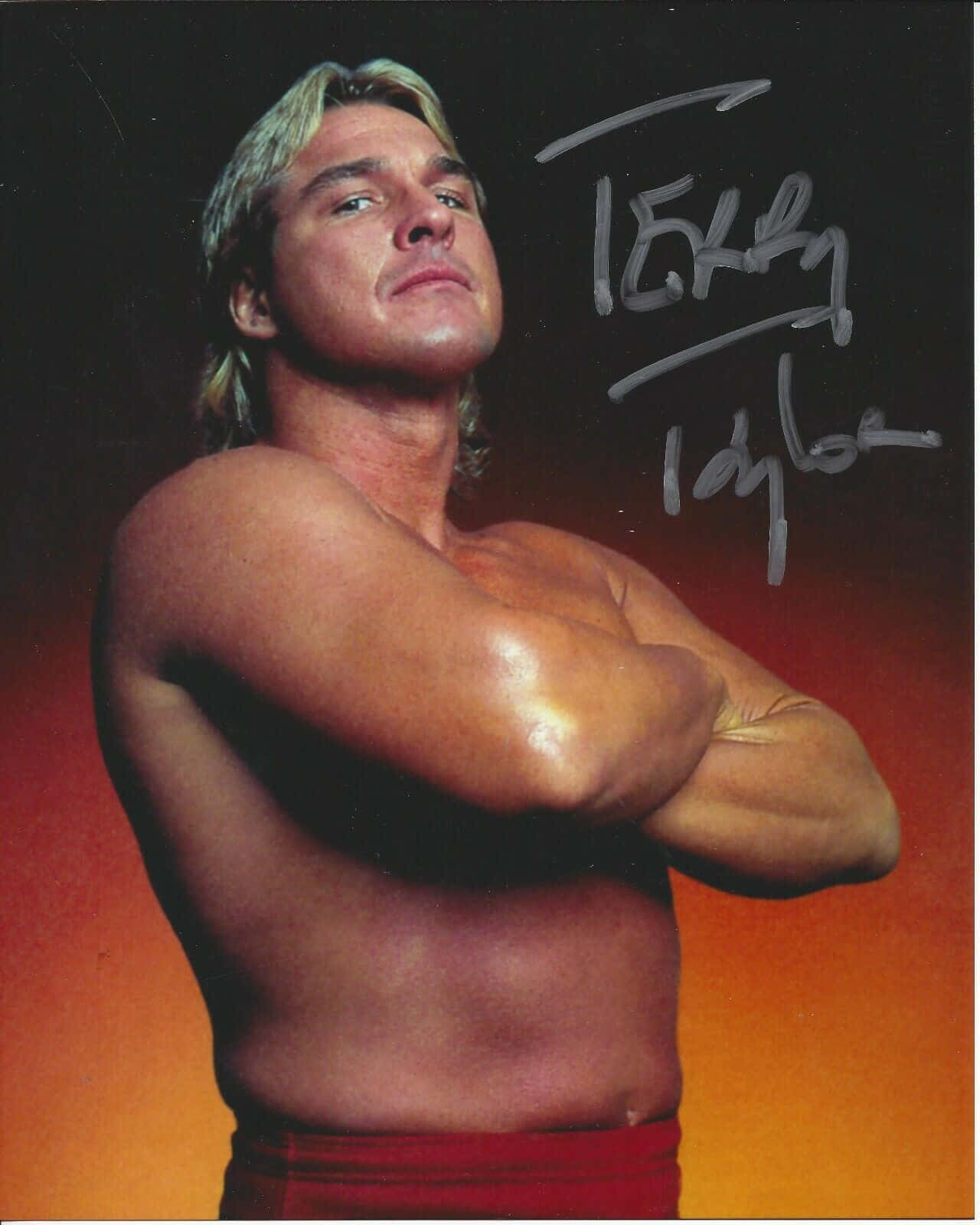 Terry Taylor Autographed Portrait Background