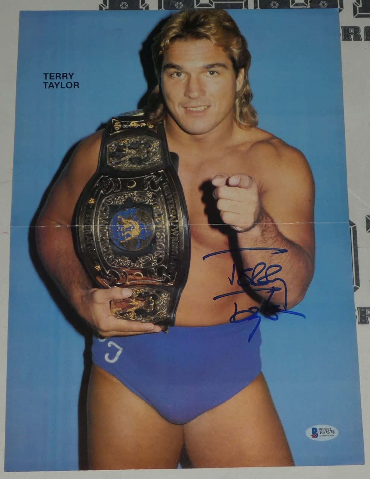Terry Taylor Blue Wrestling Brief Background