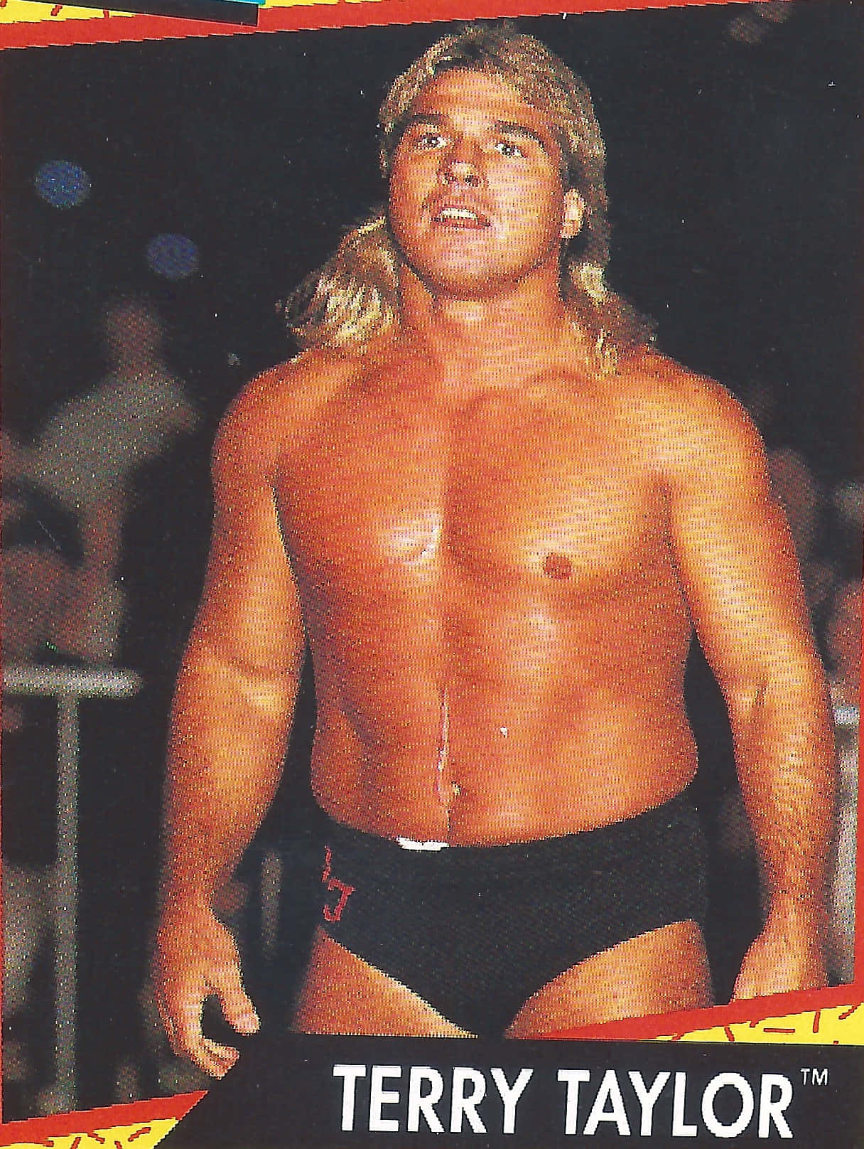 Terry Taylor Classic Wrestling Background