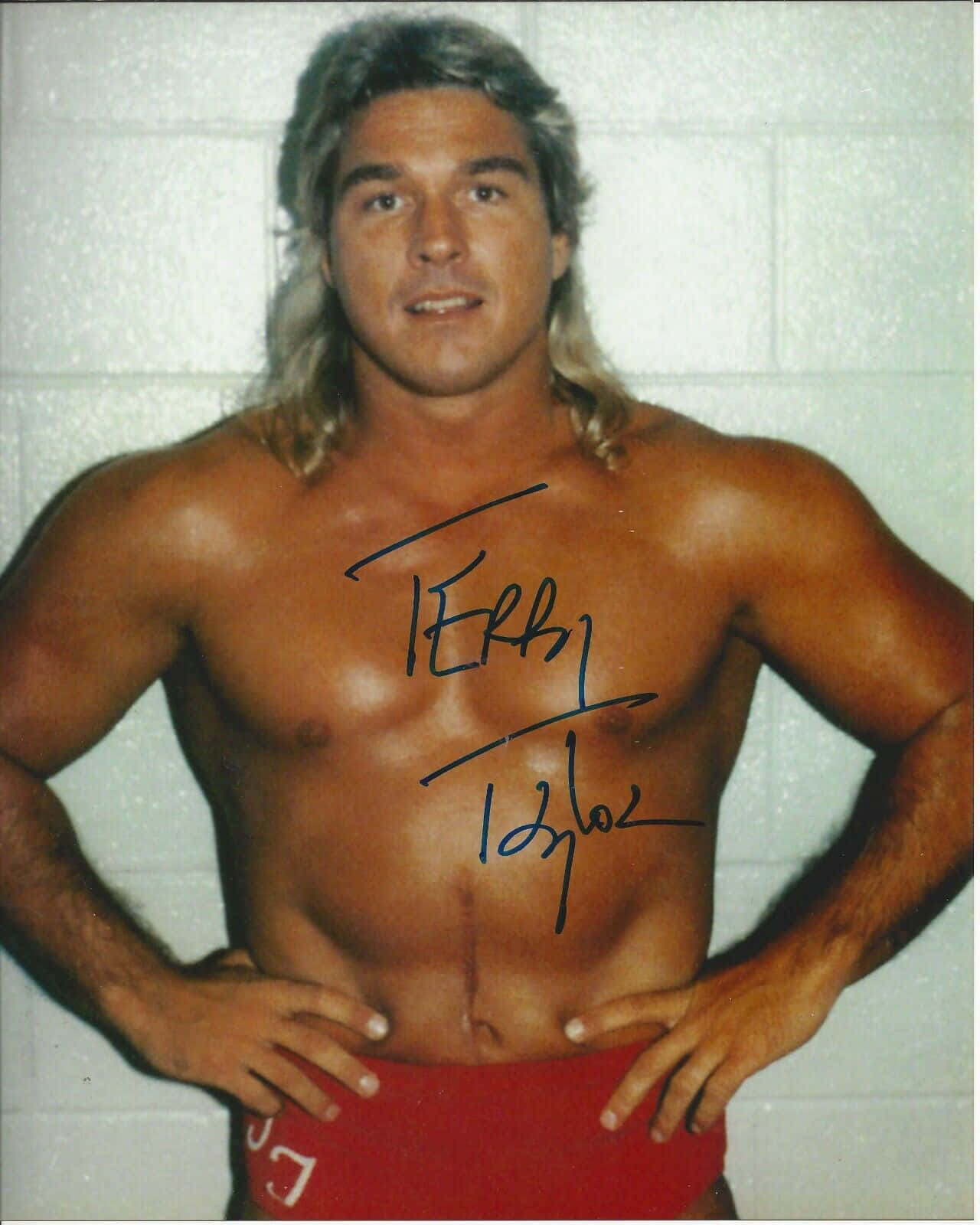 Terry Taylor Mullet Hairstyle Background