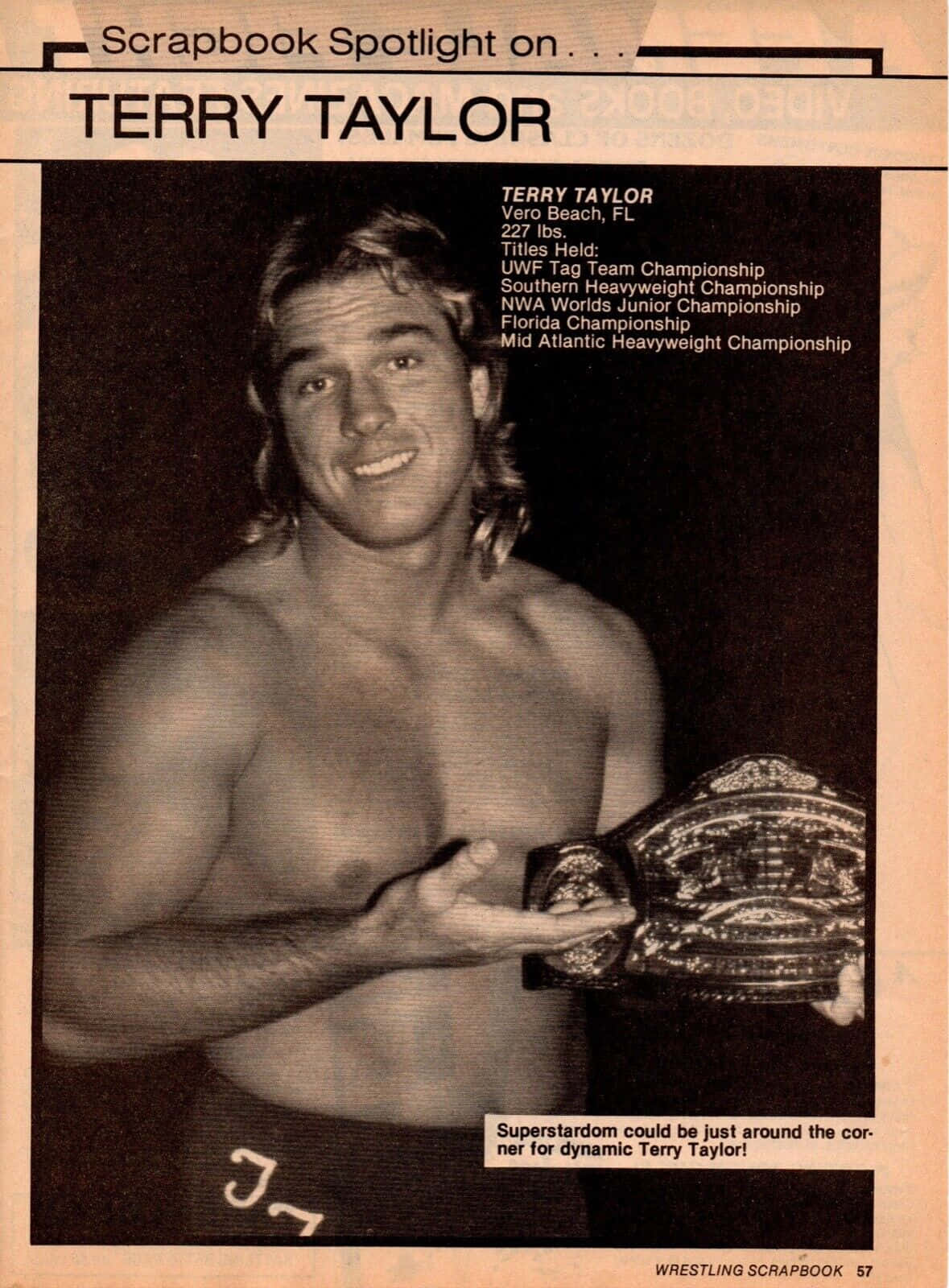Terry Taylor Scrapbook Page Background