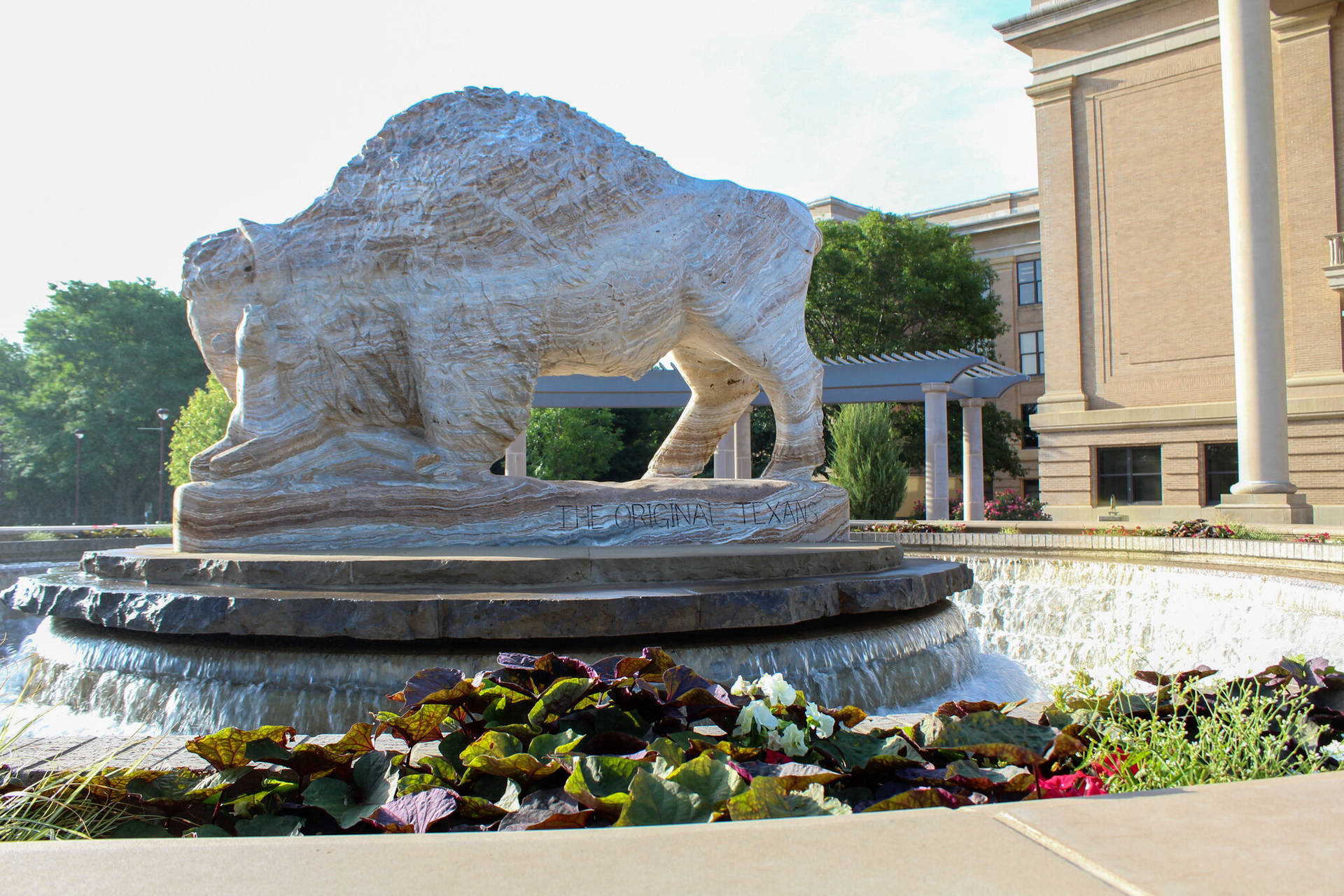 Texas Am University Buffalo Sculpture