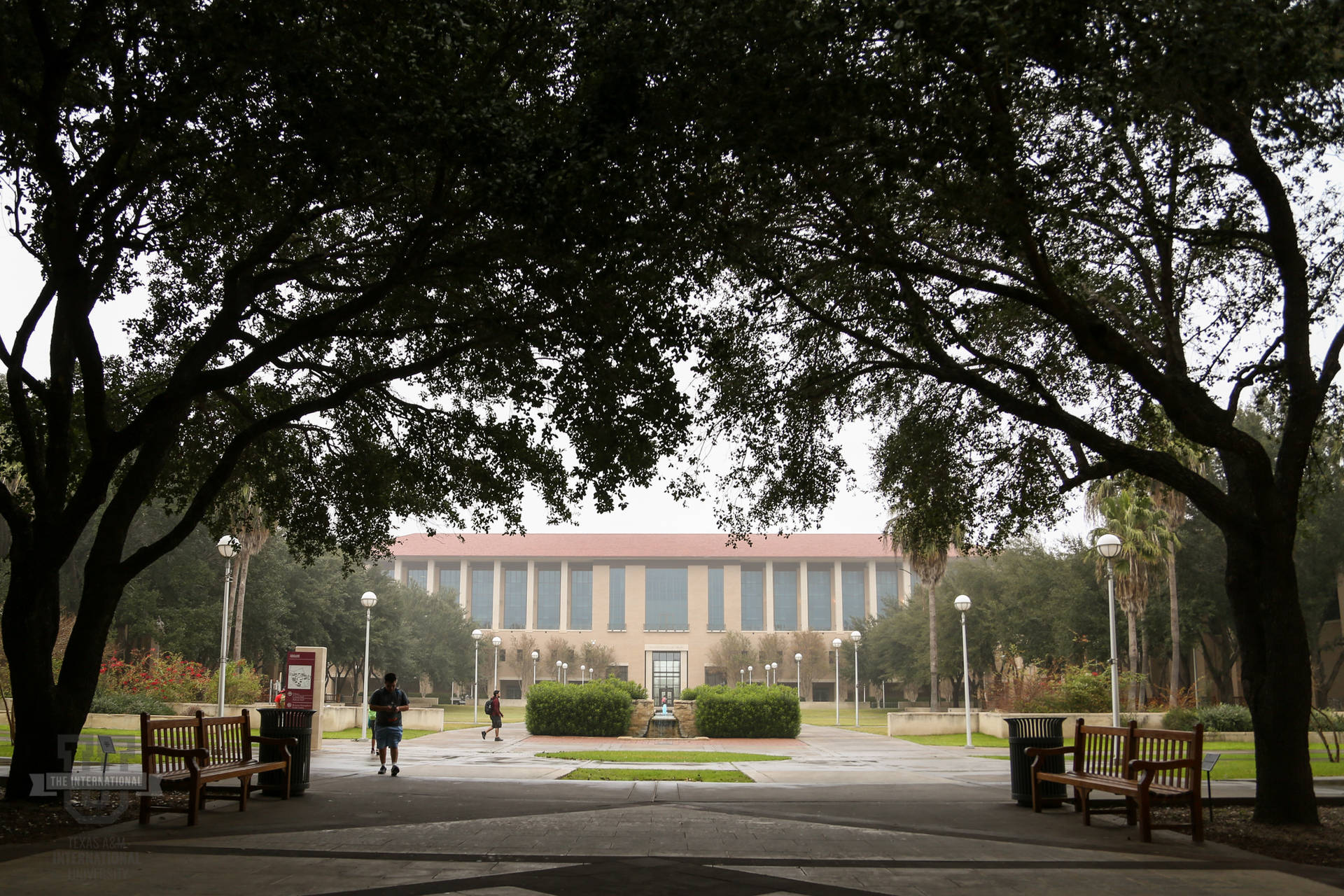 Texas Am University Campus Grounds Background