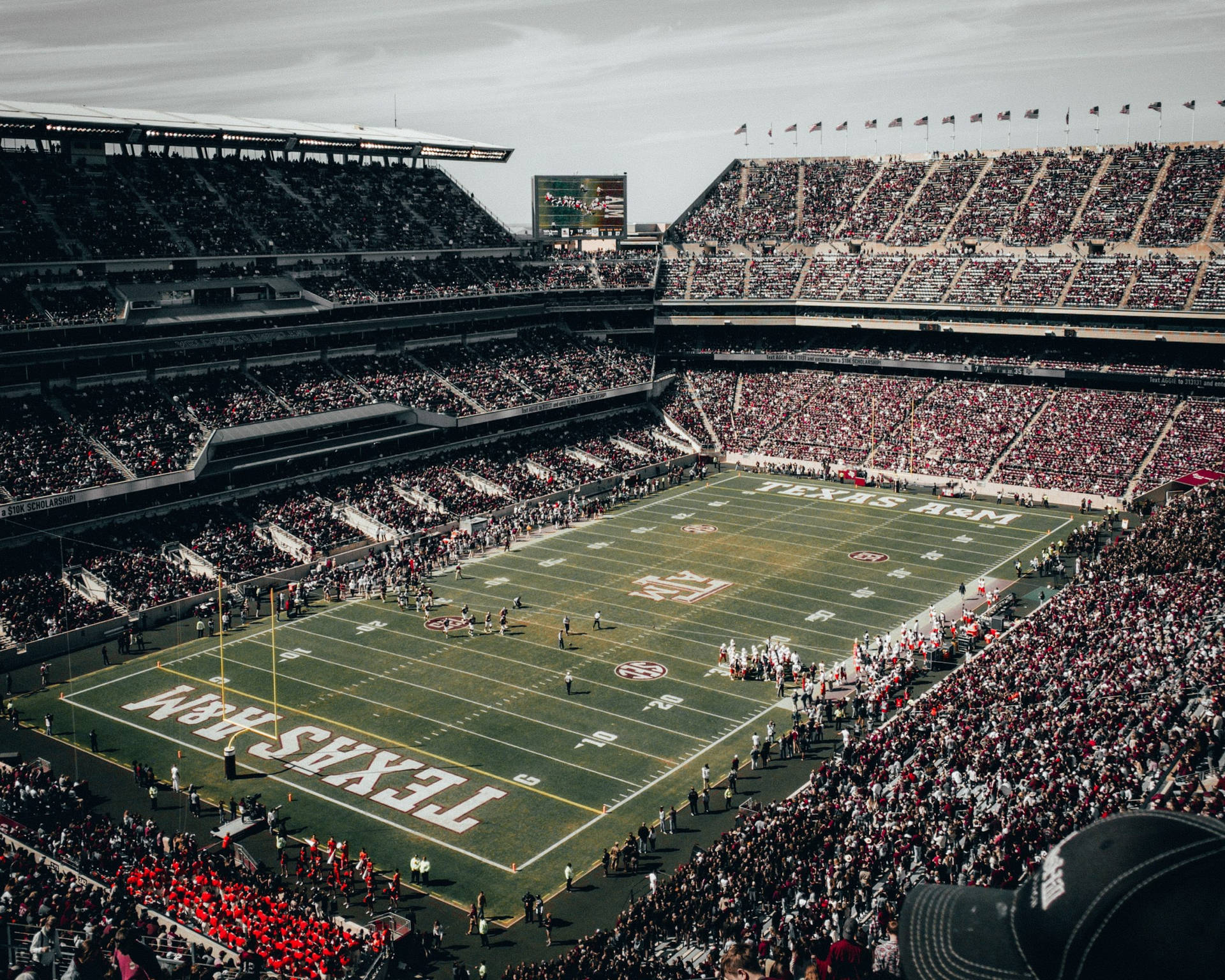 Texas Am University Packed Football Stadium Background