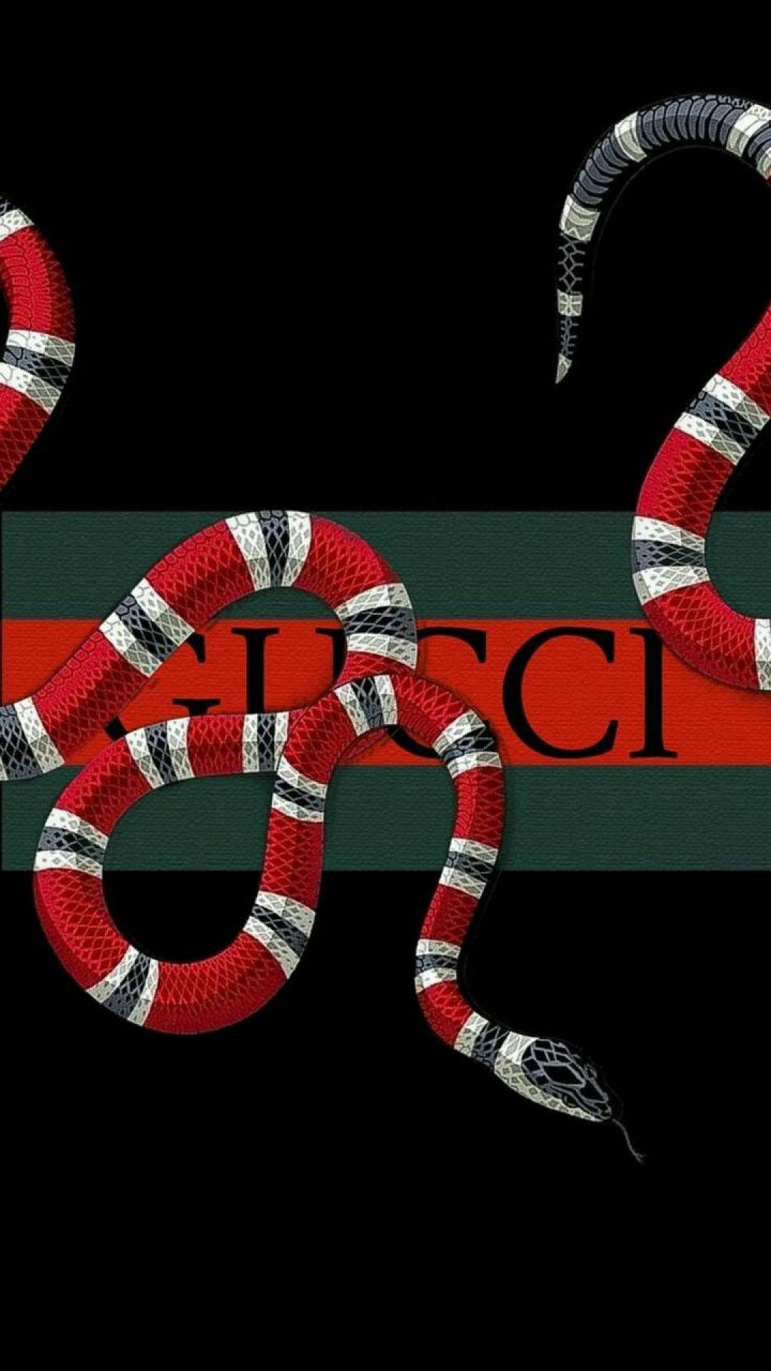 Texas Coral Snake With Gucci Logo Background