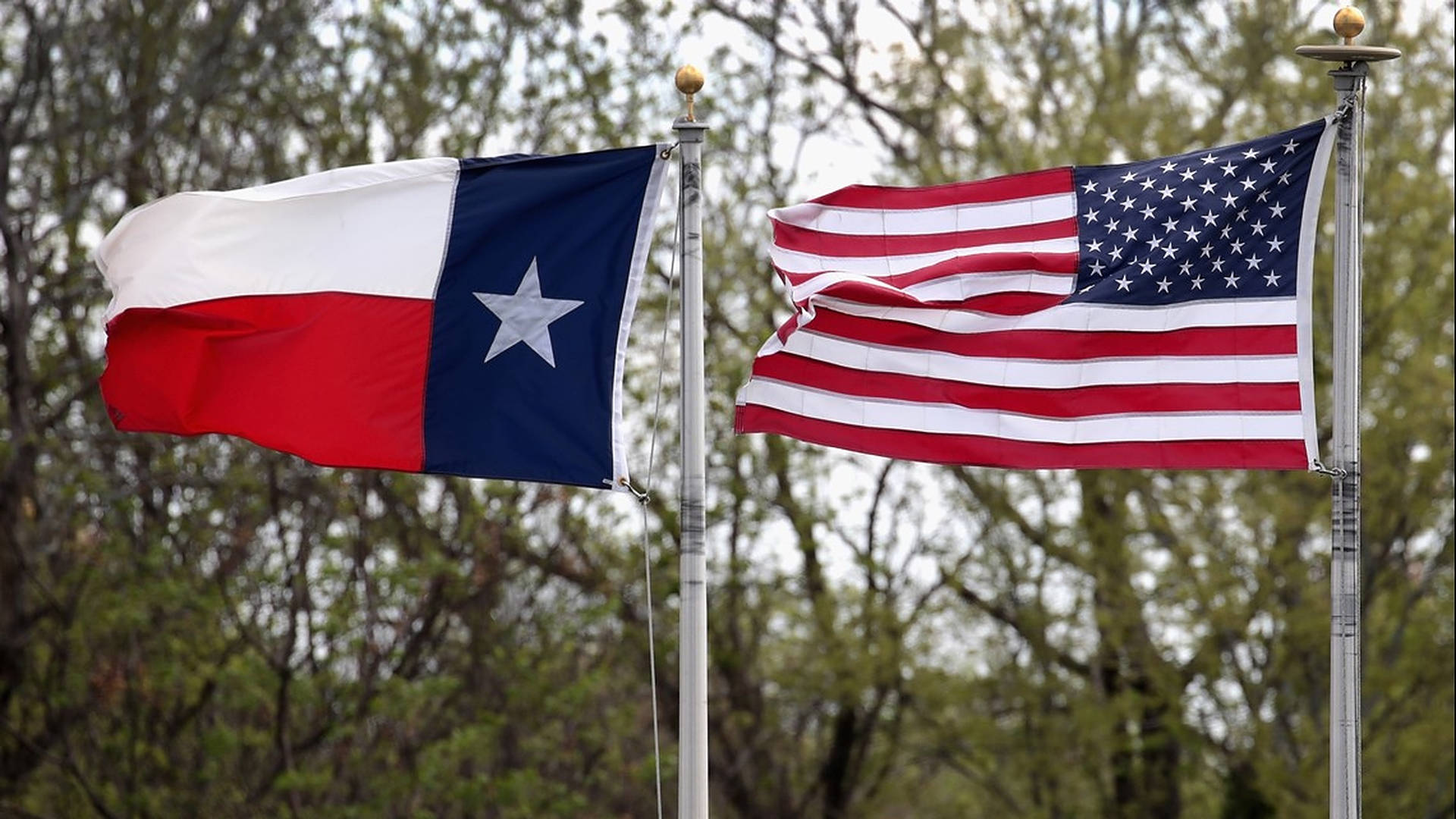 Texas Flag During Daytime Background