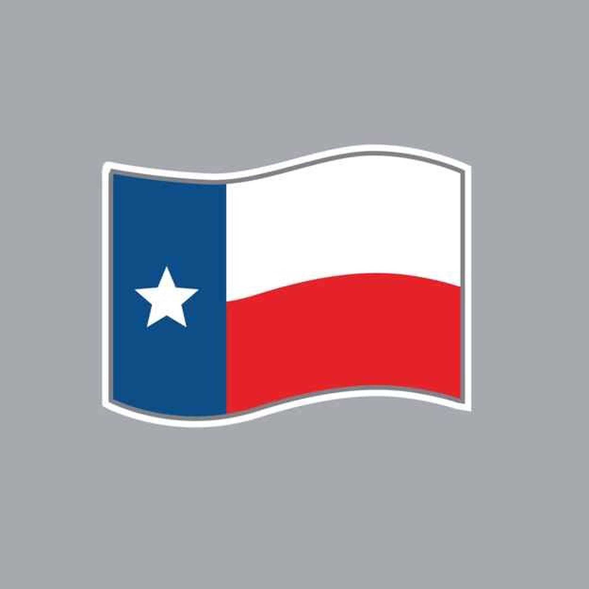 Texas Flag Gray Poster