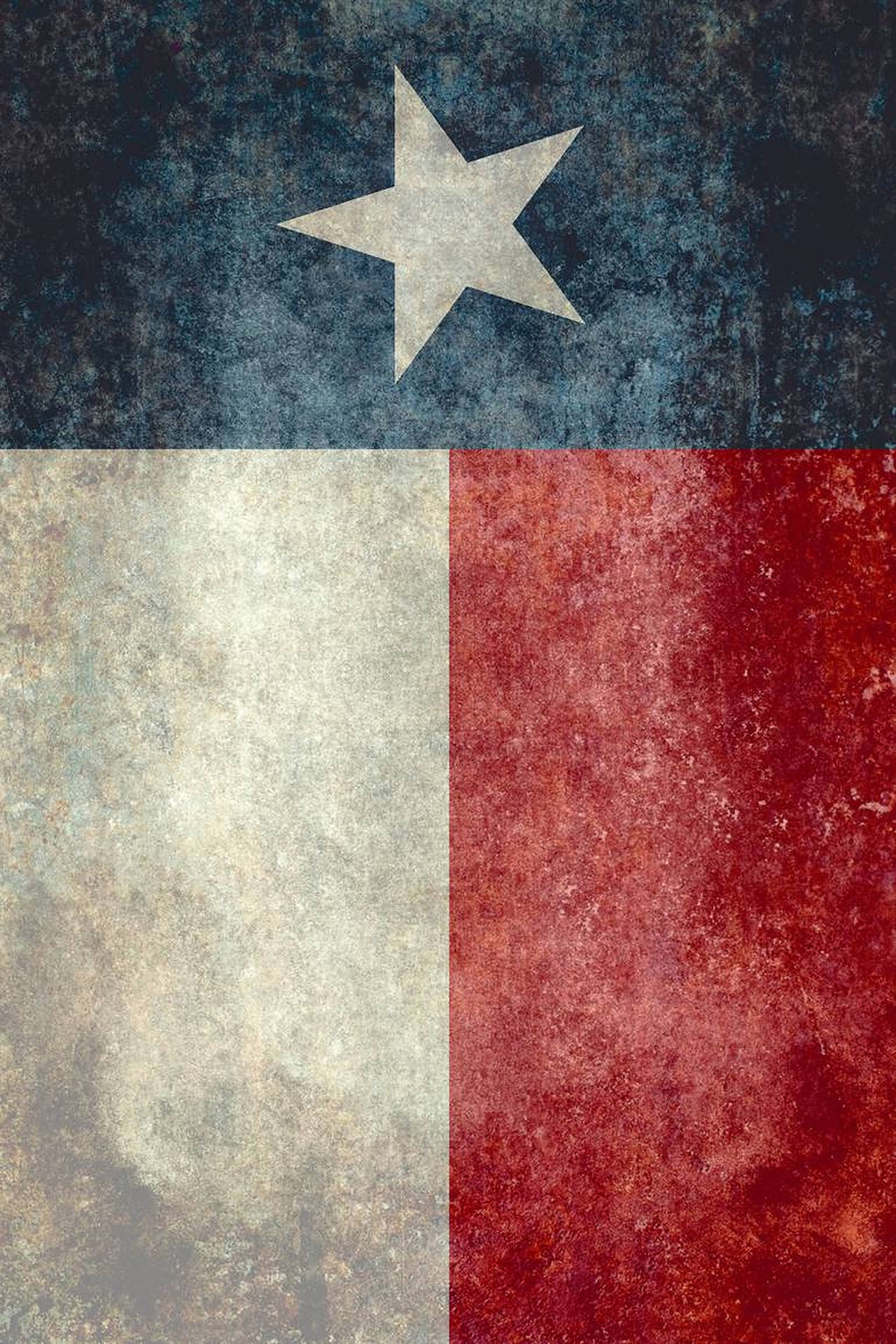 Texas Flag In Vertical