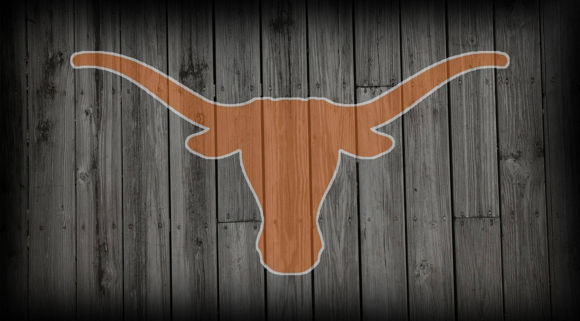 Texas Longhorn Wooden Background Background