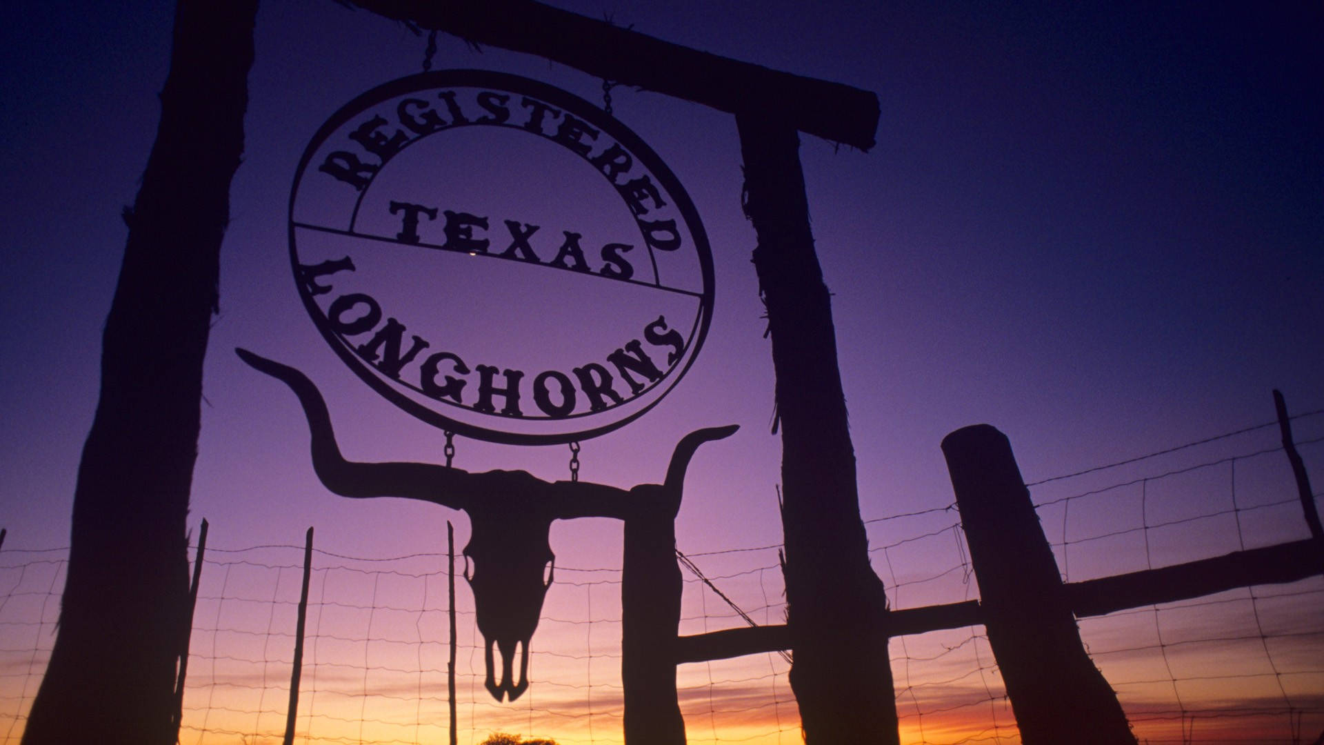 Texas Longhorns Logo Background