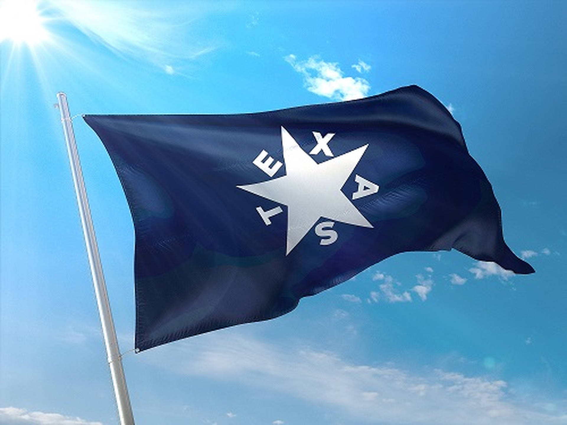 Texas Zavala Flag Background