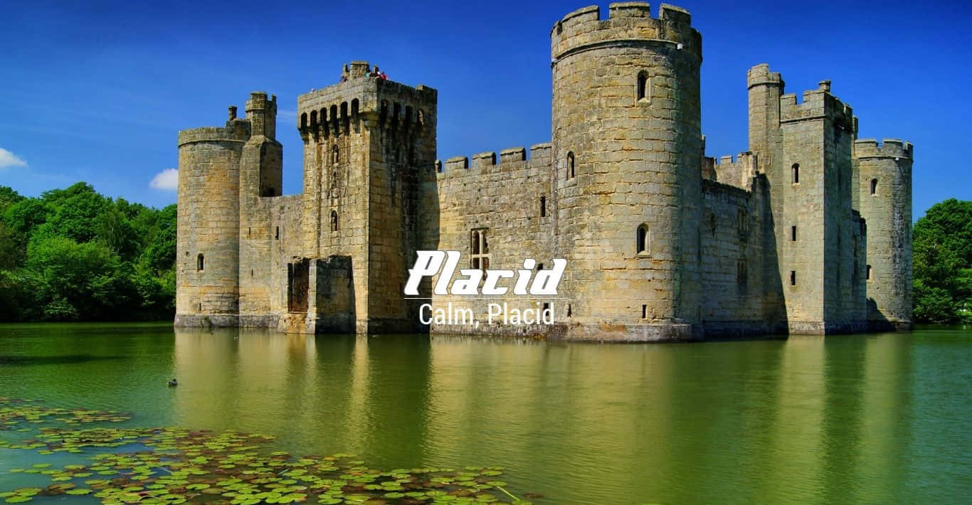 Text Graphics With Placid Synonyms Background