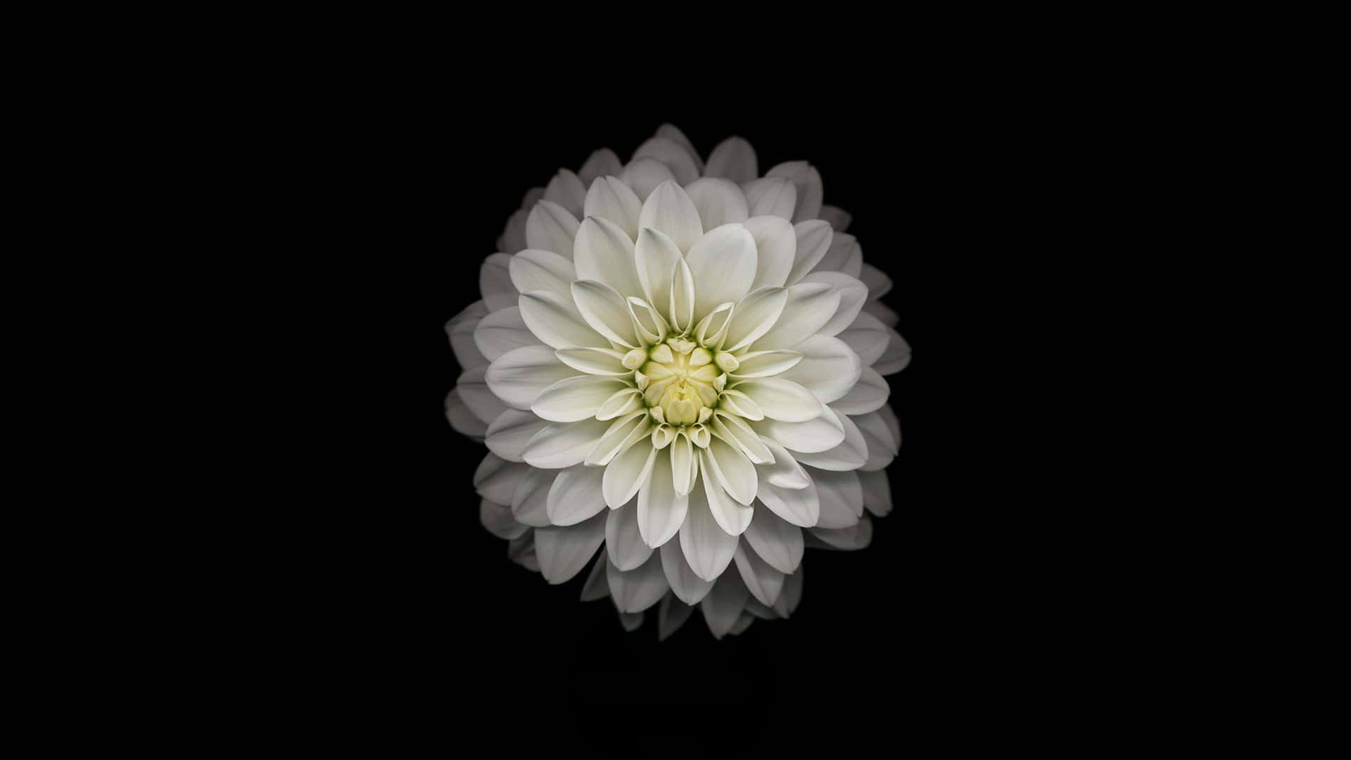 Text Message Bubbles On Ios Desktop