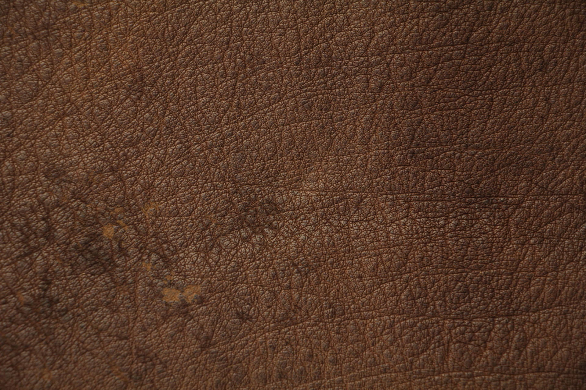 Texture Soft Matt Brown Leather Background