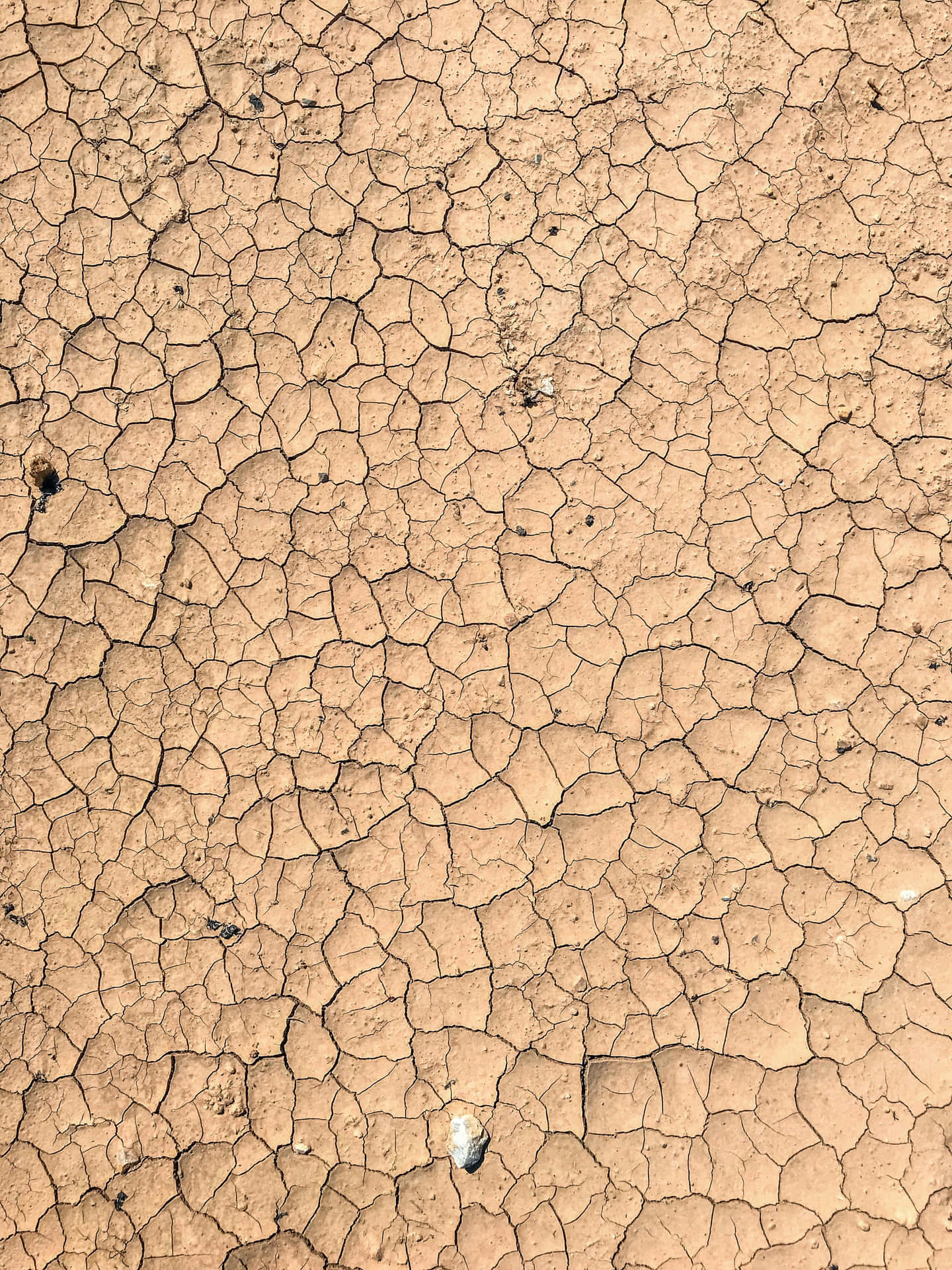 Textured Landscape Of Dry And Cracked Mud