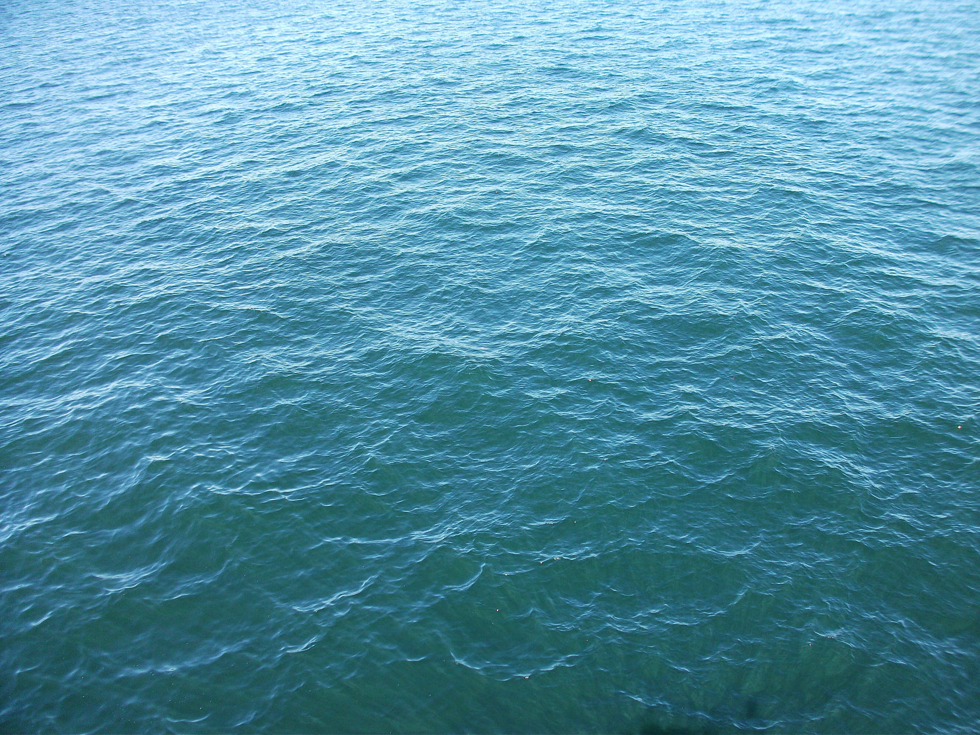 Textured Sea Water Background