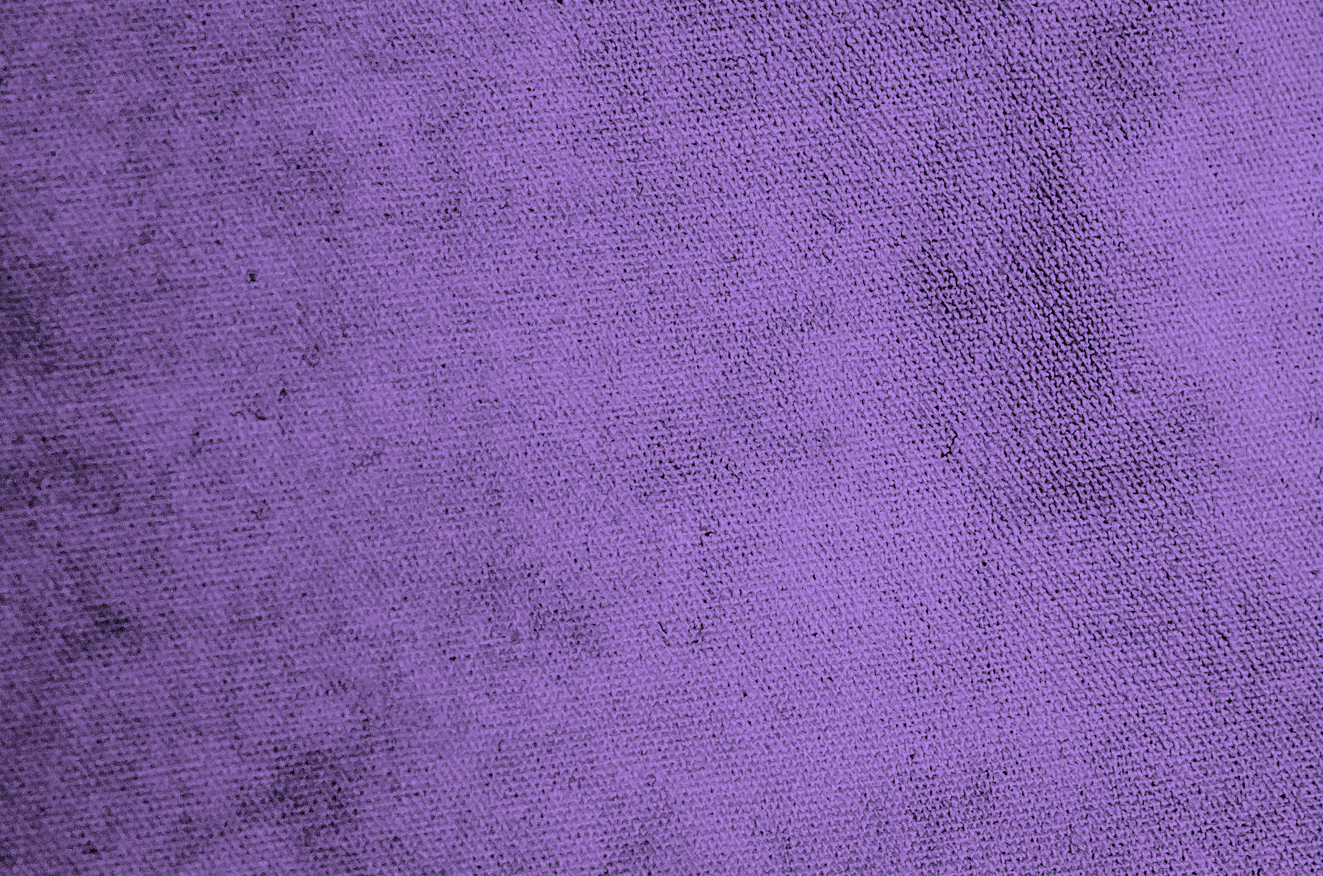 Textured Violet Backdrop