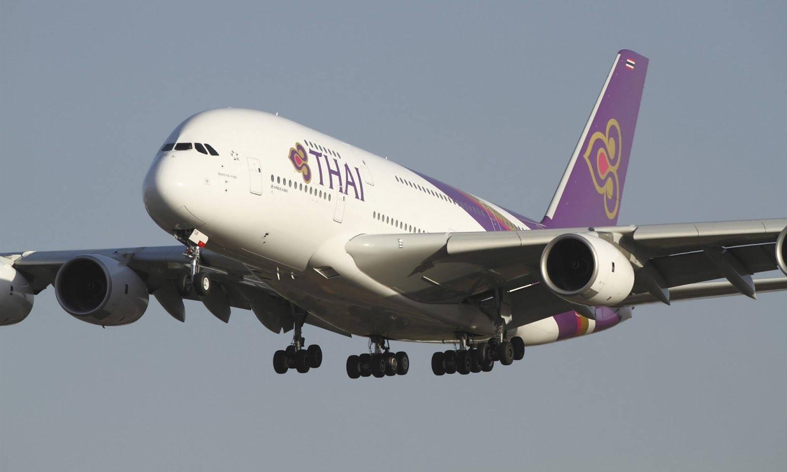 Thai Airways Airplane In Clear Sky Background